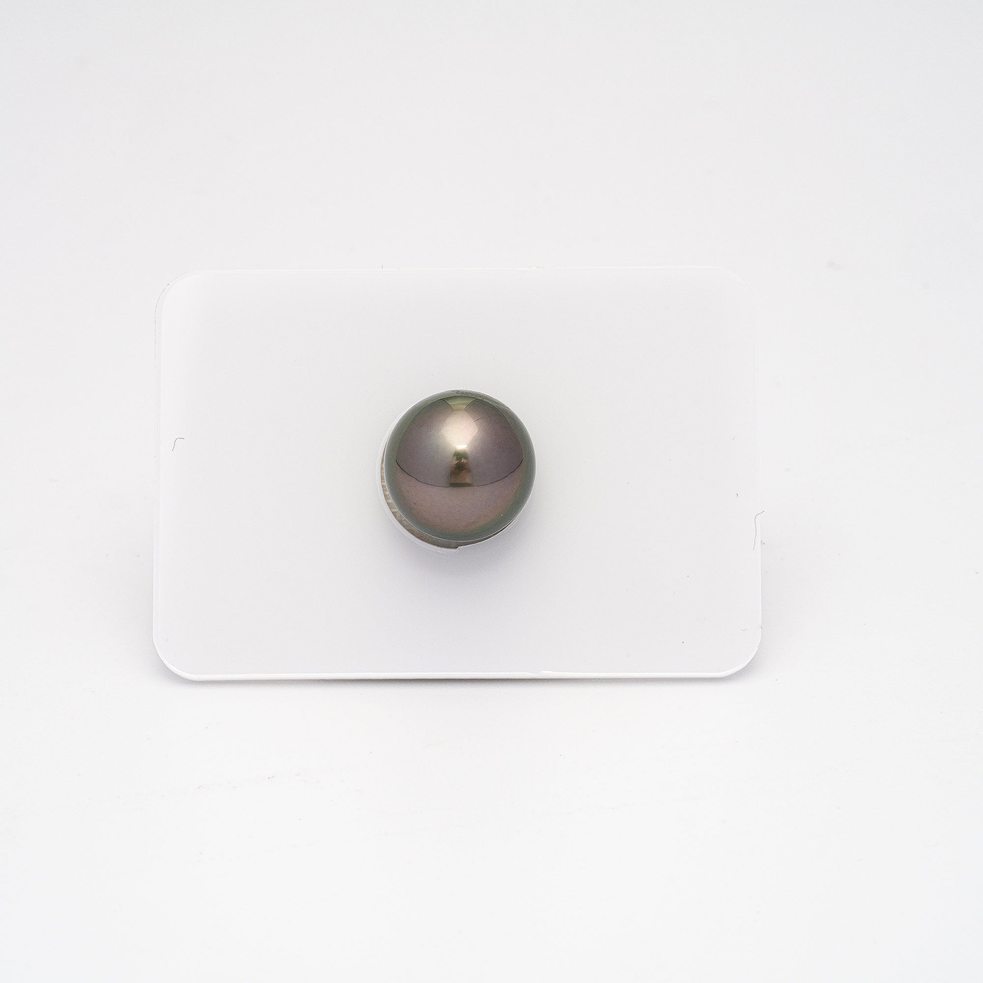 1pcs Green Brown 12.1mm - SR AAA/AA Quality Tahitian Pearl Single LP1561