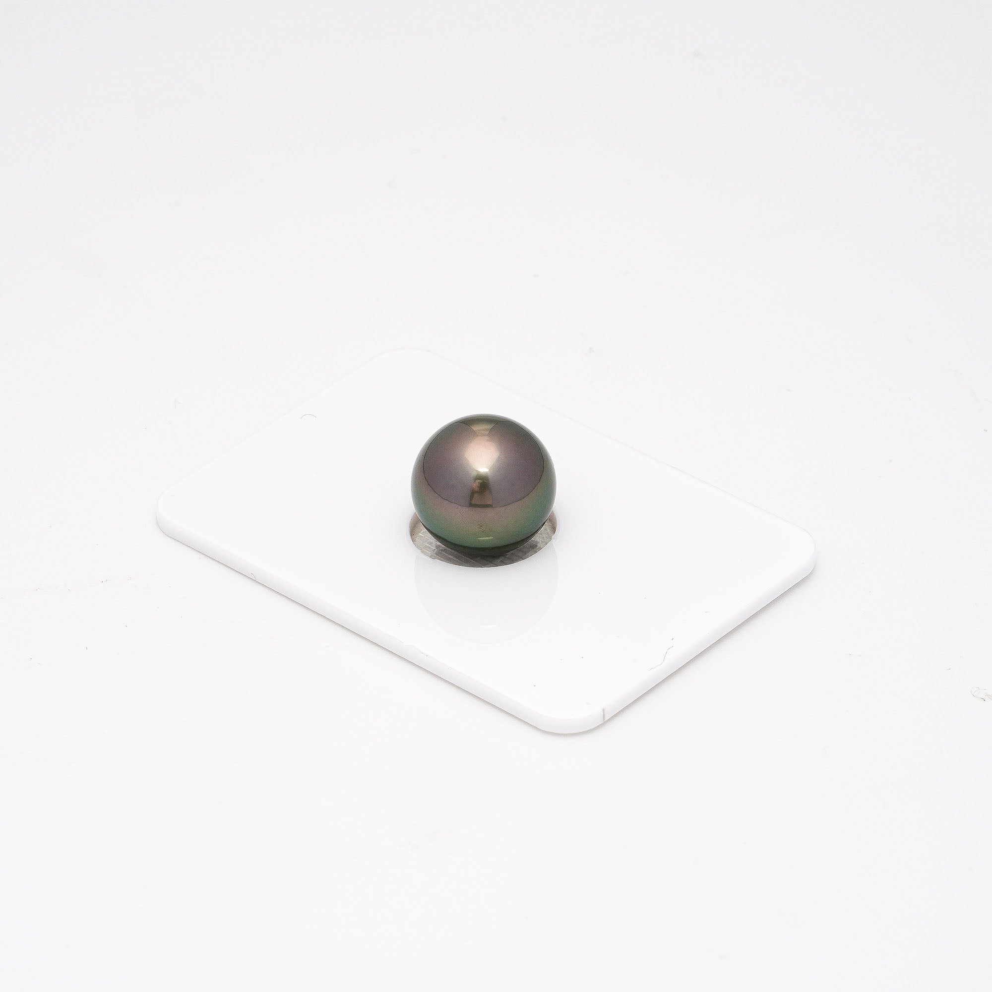1pcs Green Brown 12.1mm - SR AAA/AA Quality Tahitian Pearl Single LP1561