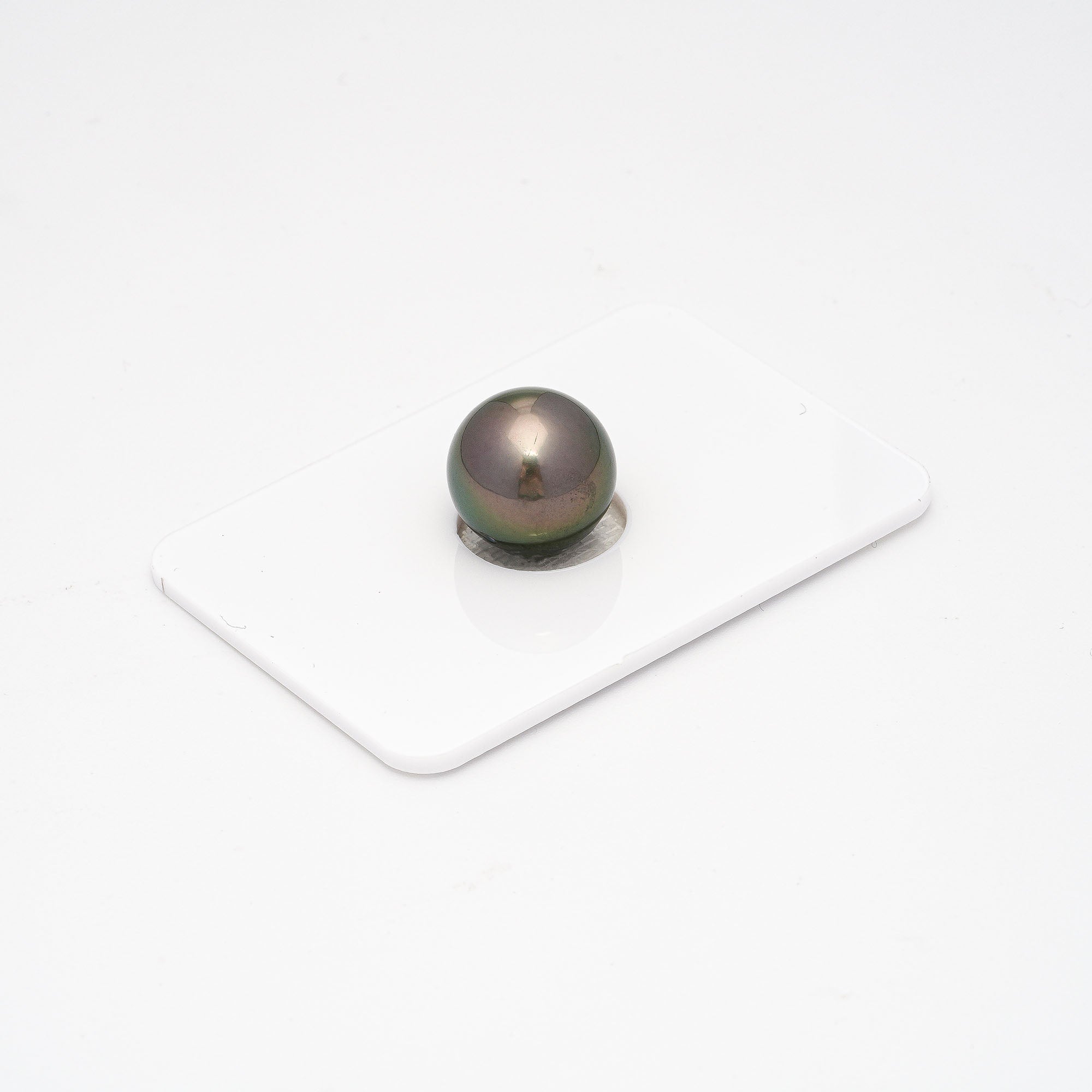 1pcs Green Brown 12.1mm - SR AAA/AA Quality Tahitian Pearl Single LP1561