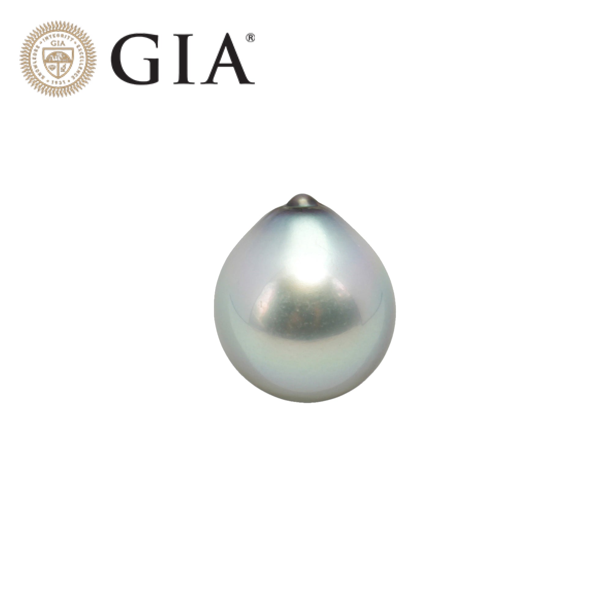 1pcs "Top Luster" Silver Light 13.5mm - SB/DR TOP Quality Tahitian Pearl Single LP1726
