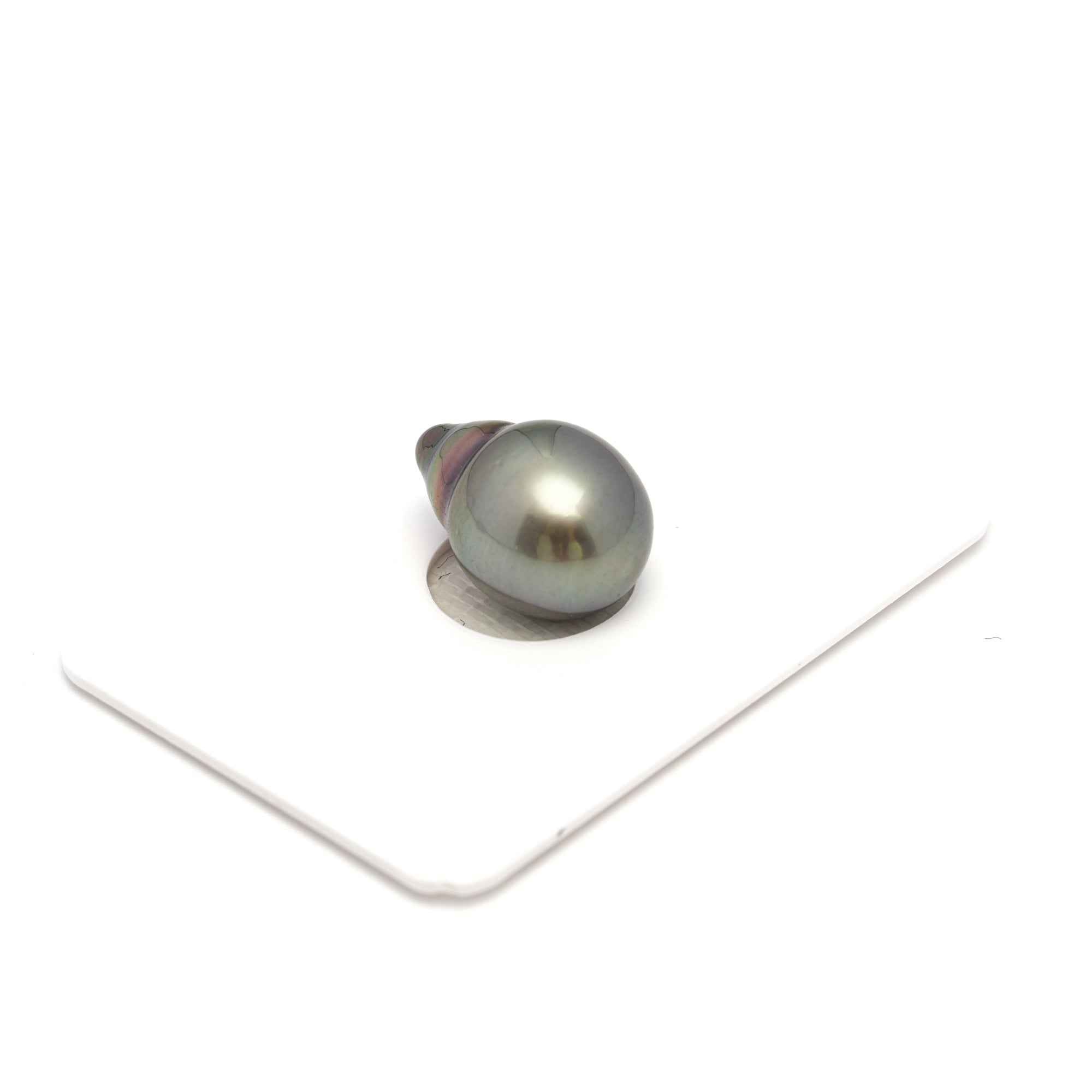 1pcs "High Luster" Green 11.3mm - SB AAA Quality Tahitian Pearl Single LP2250 OR12