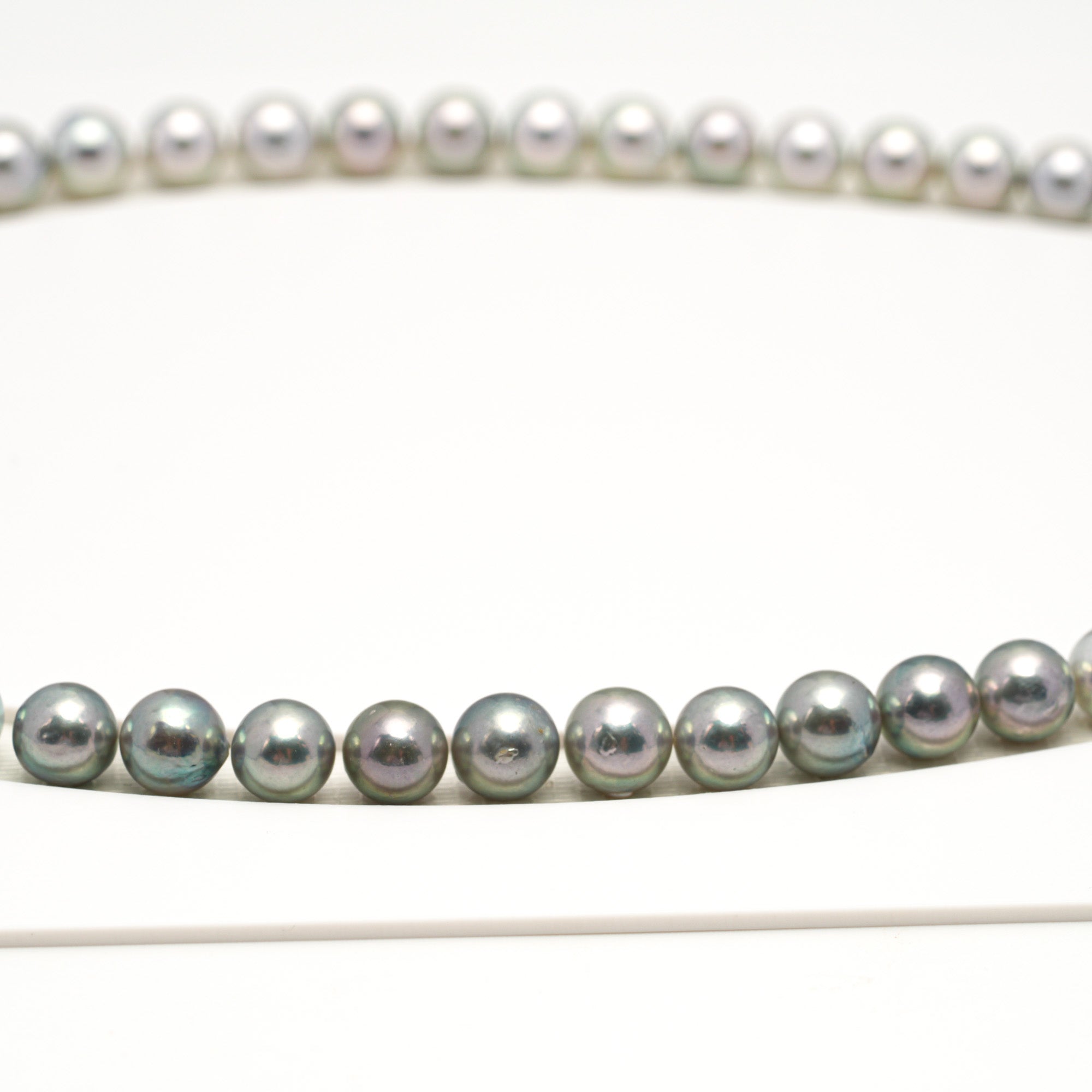 53pcs Akoya Pearl "Top Luster" Silver Green 7-7.9mm - SR/NR AAA/AA Quality Necklace AKNL1745 CMA1