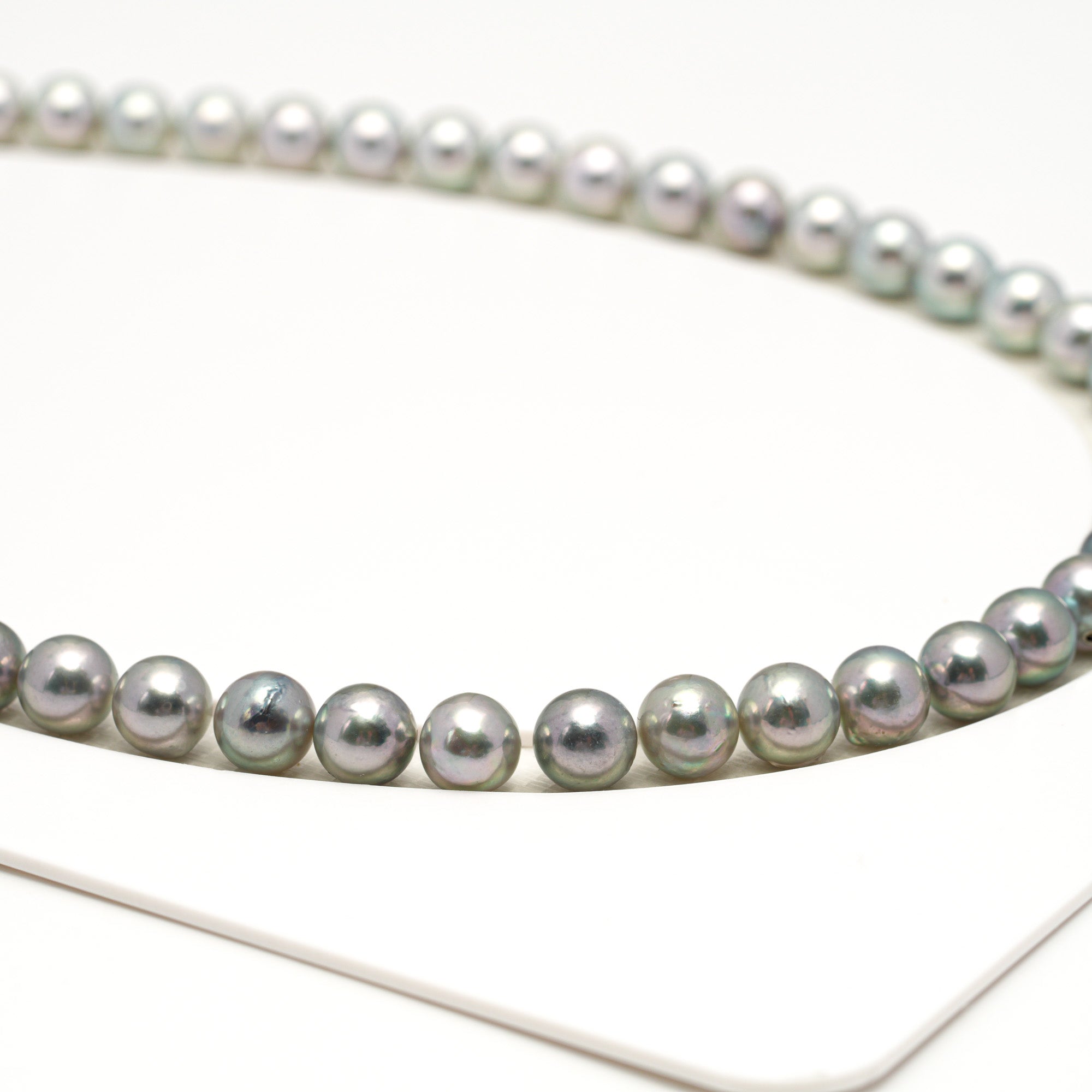 53pcs Akoya Pearl "Top Luster" Silver Green 7-7.9mm - SR/NR AAA/AA Quality Necklace AKNL1745 CMA1