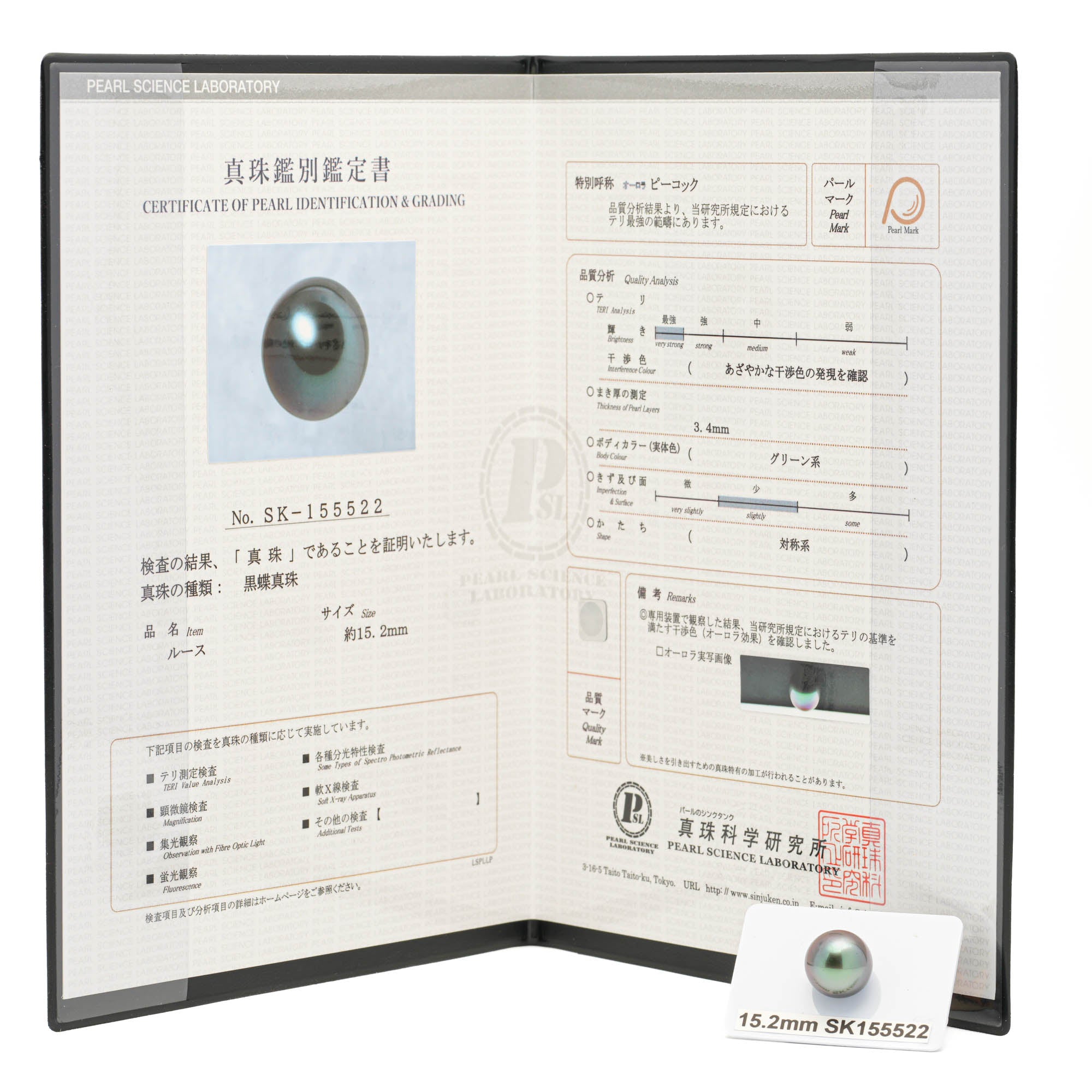 Rare "Top Luster" Aubergine 15.2mm - SR/NR AAA Quality Tahitian Pearl Single Certified SK155522