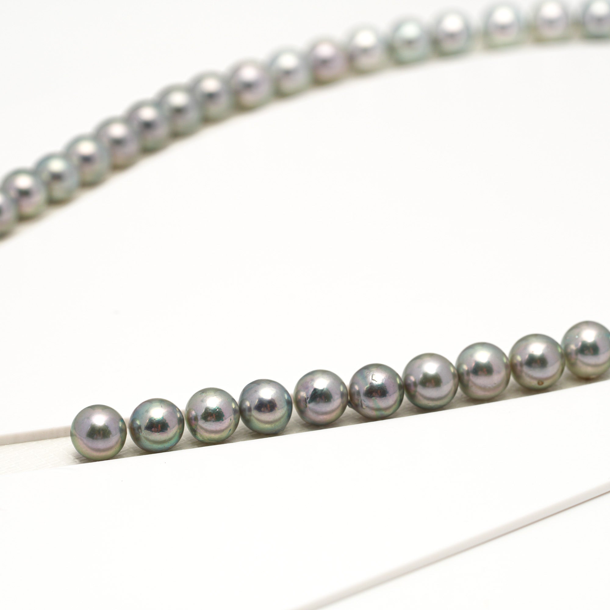 53pcs Akoya Pearl "Top Luster" Silver Green 7-7.9mm - SR/NR AAA/AA Quality Necklace AKNL1745 CMA1