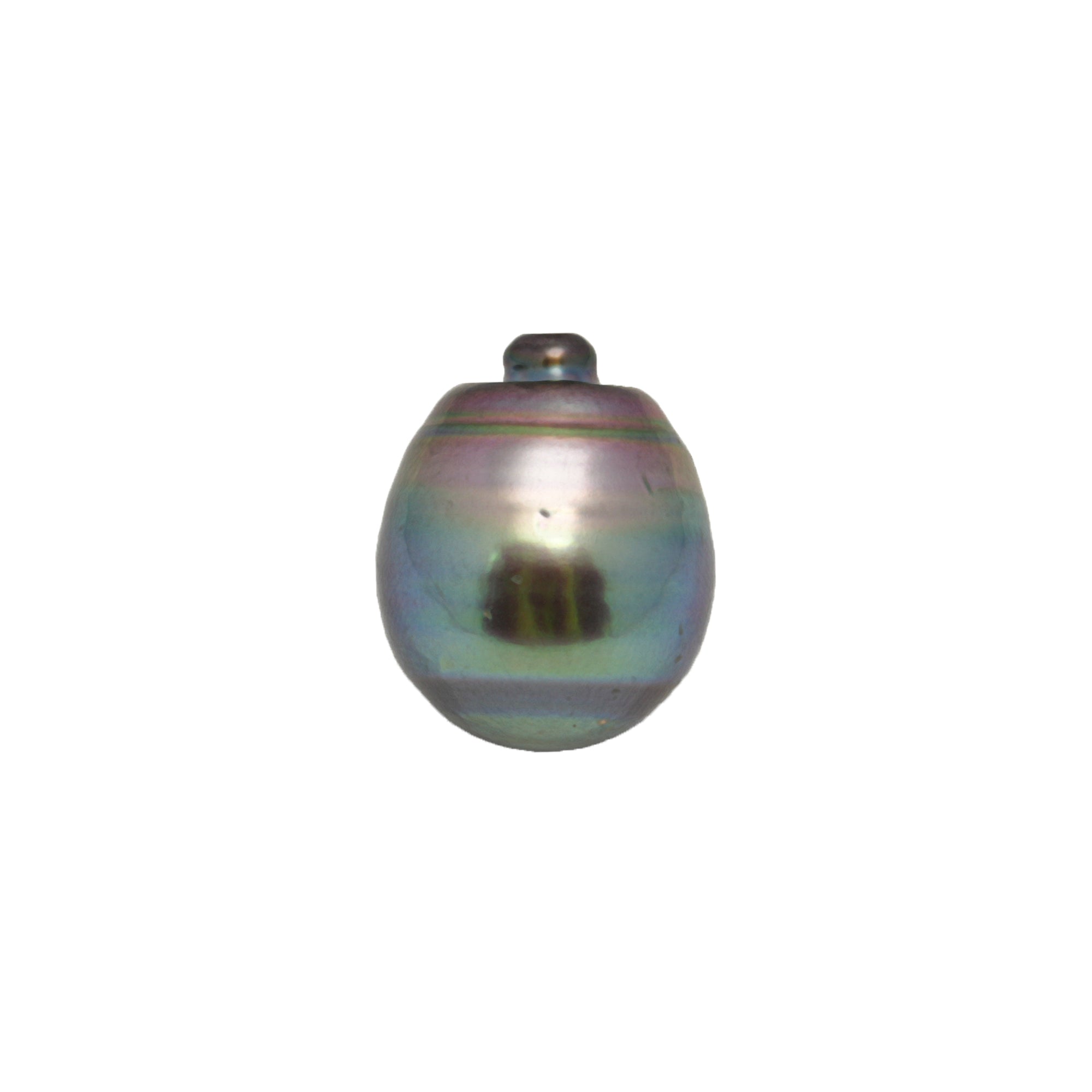 1pcs Peacock 15.7mm - CL/SB AAA Quality Tahitian Pearl Single LP2325 CMP9