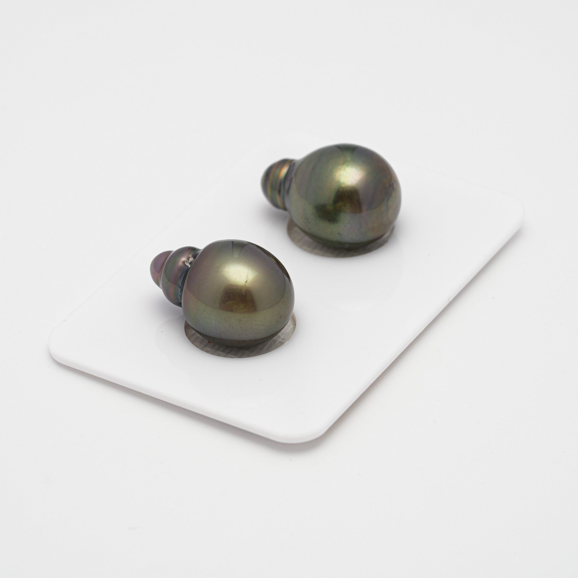 2pcs Dark Brown 11.6-11.9mm - SB AAA Quality Tahitian Pearl Pair ER868
