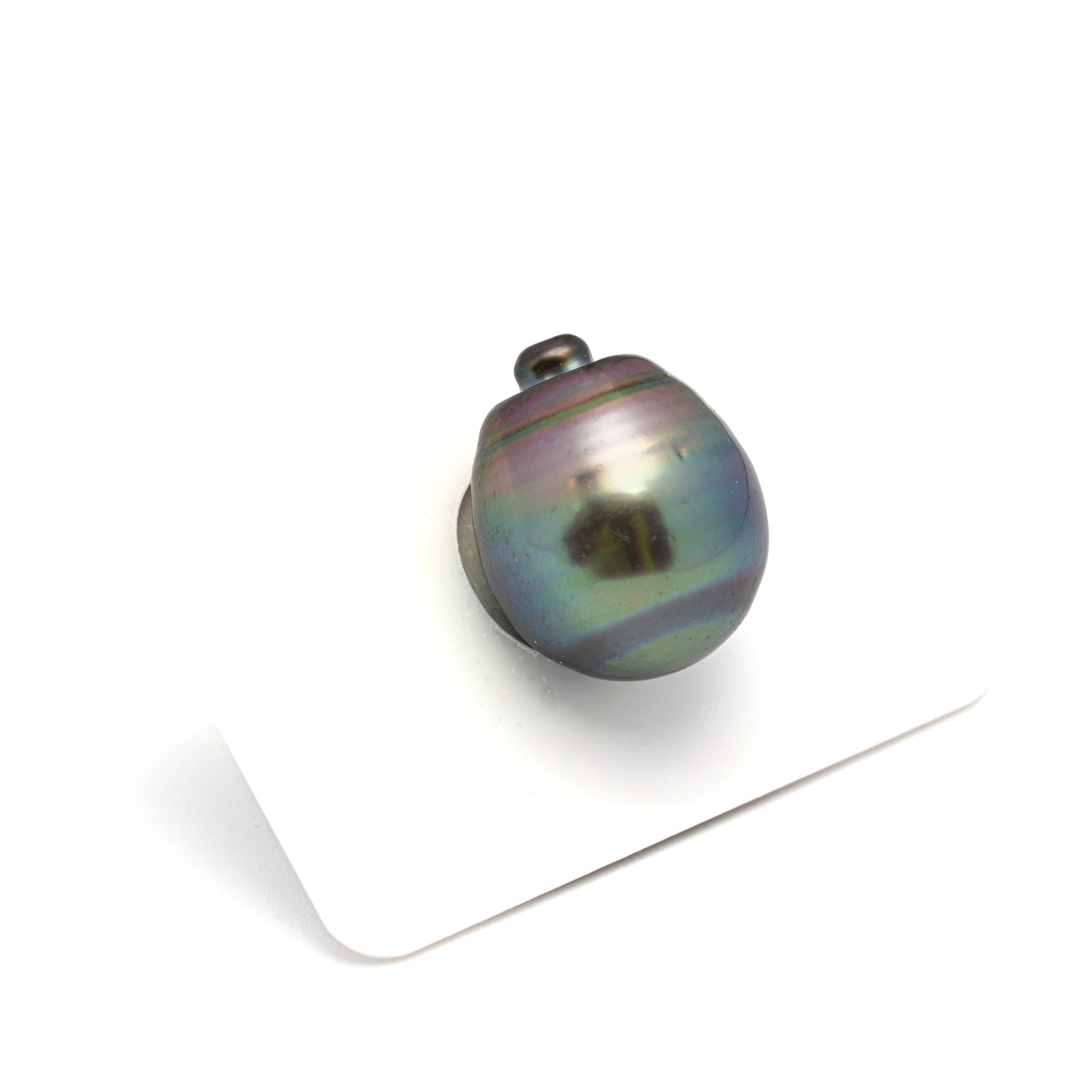 1pcs Peacock 15.7mm - CL/SB AAA Quality Tahitian Pearl Single LP2325 CMP9