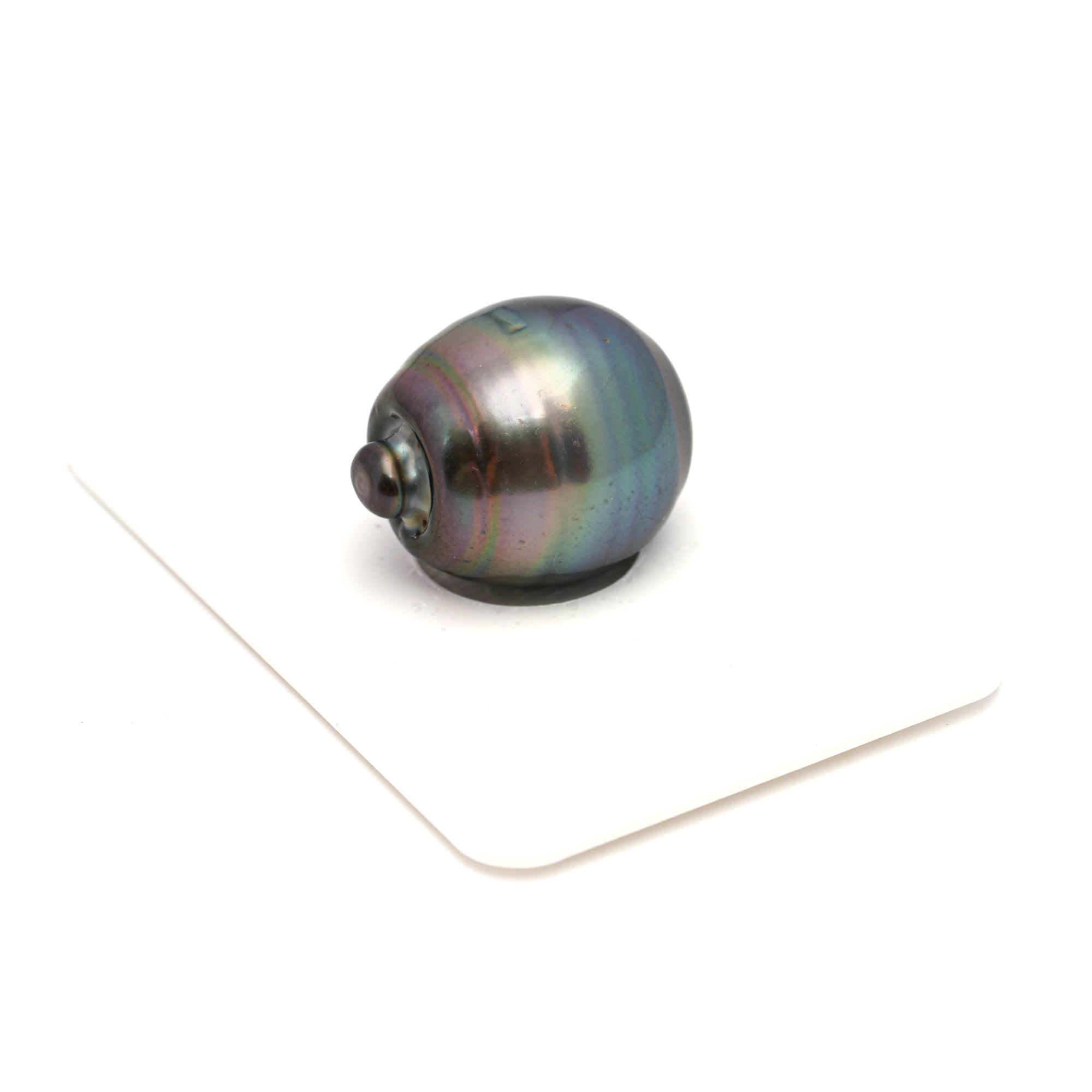 1pcs Peacock 15.7mm - CL/SB AAA Quality Tahitian Pearl Single LP2325 CMP9