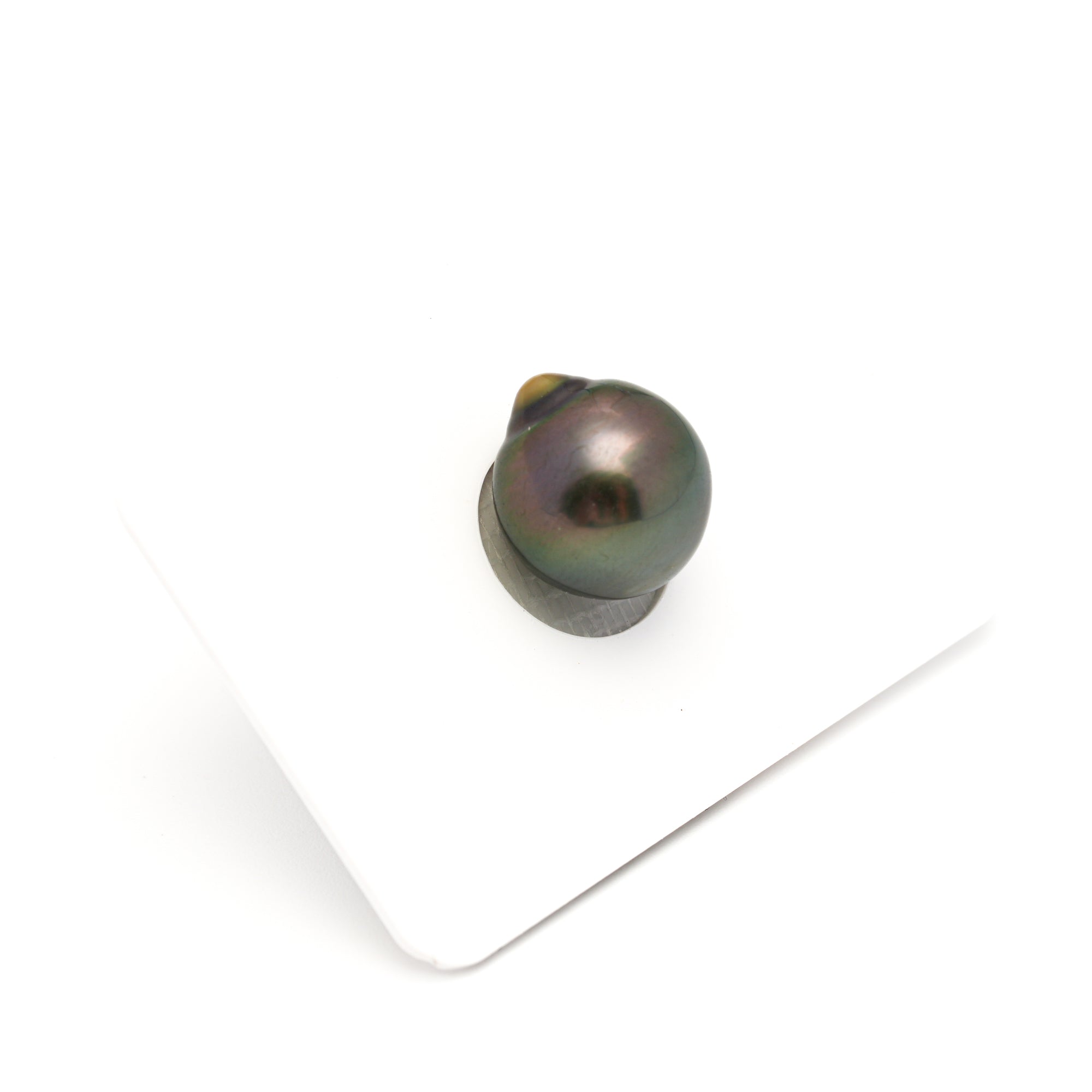 1pcs Green 12mm - SB AAA/AA Quality Tahitian Pearl Single LP2388 TH5