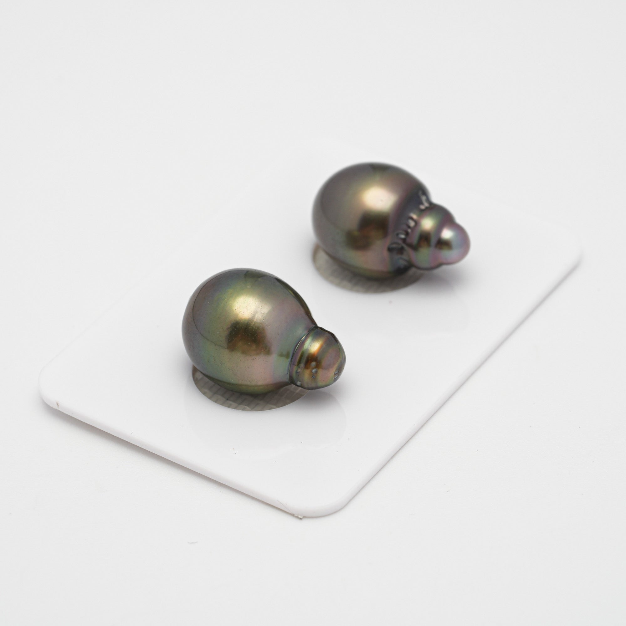2pcs Dark Brown 11.6-11.9mm - SB AAA Quality Tahitian Pearl Pair ER868