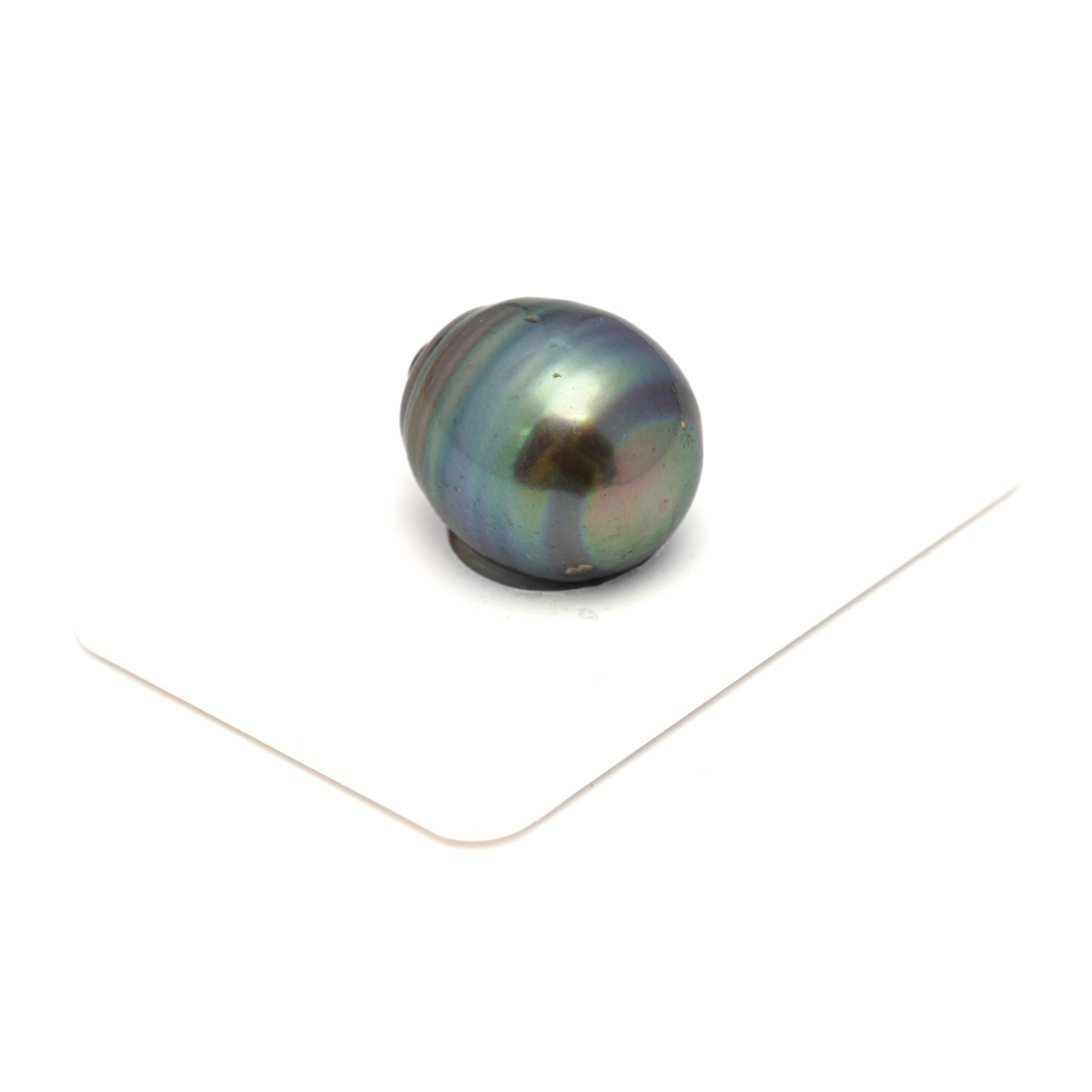 1pcs Peacock 15.7mm - CL/SB AAA Quality Tahitian Pearl Single LP2325 CMP9