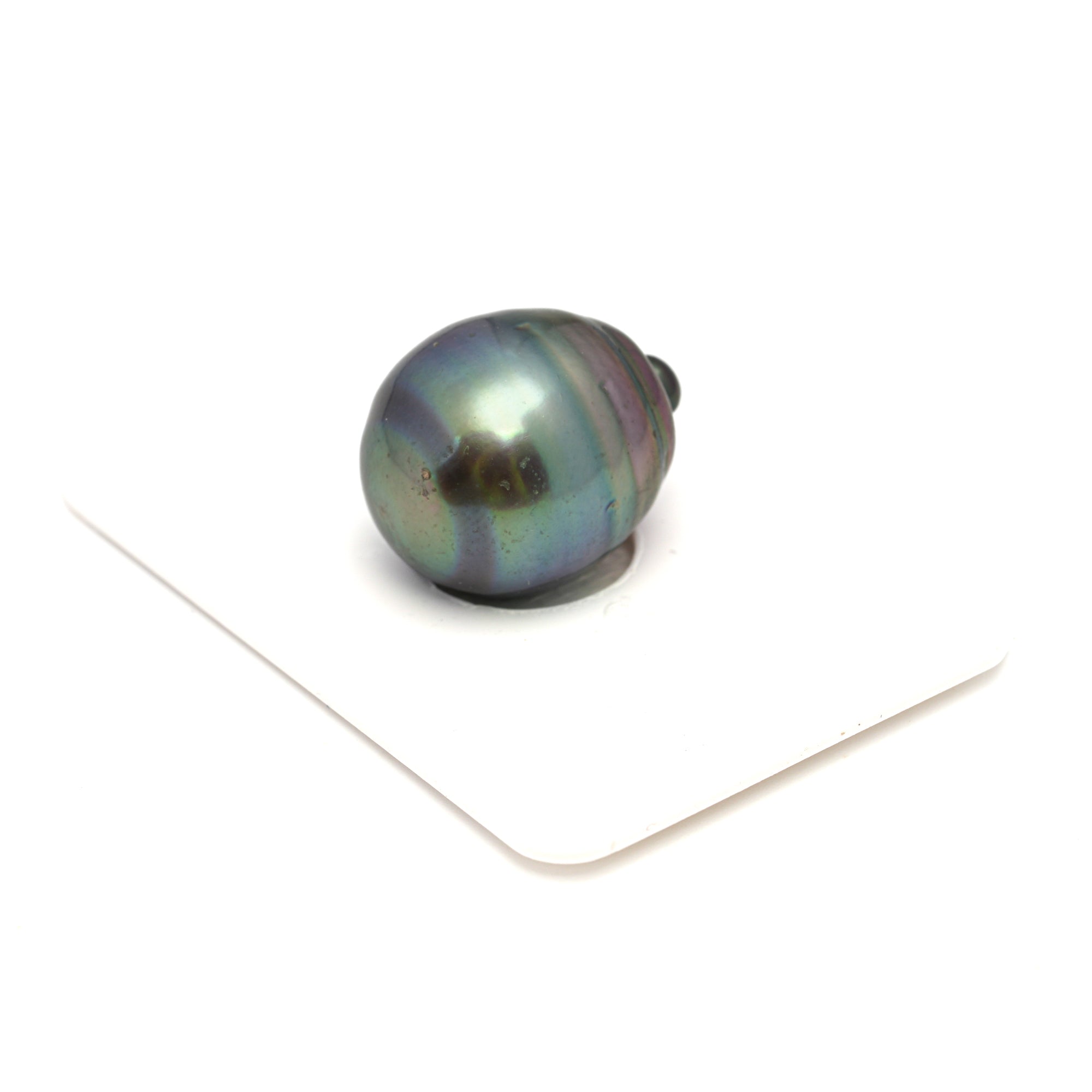 1pcs Peacock 15.7mm - CL/SB AAA Quality Tahitian Pearl Single LP2325 CMP9