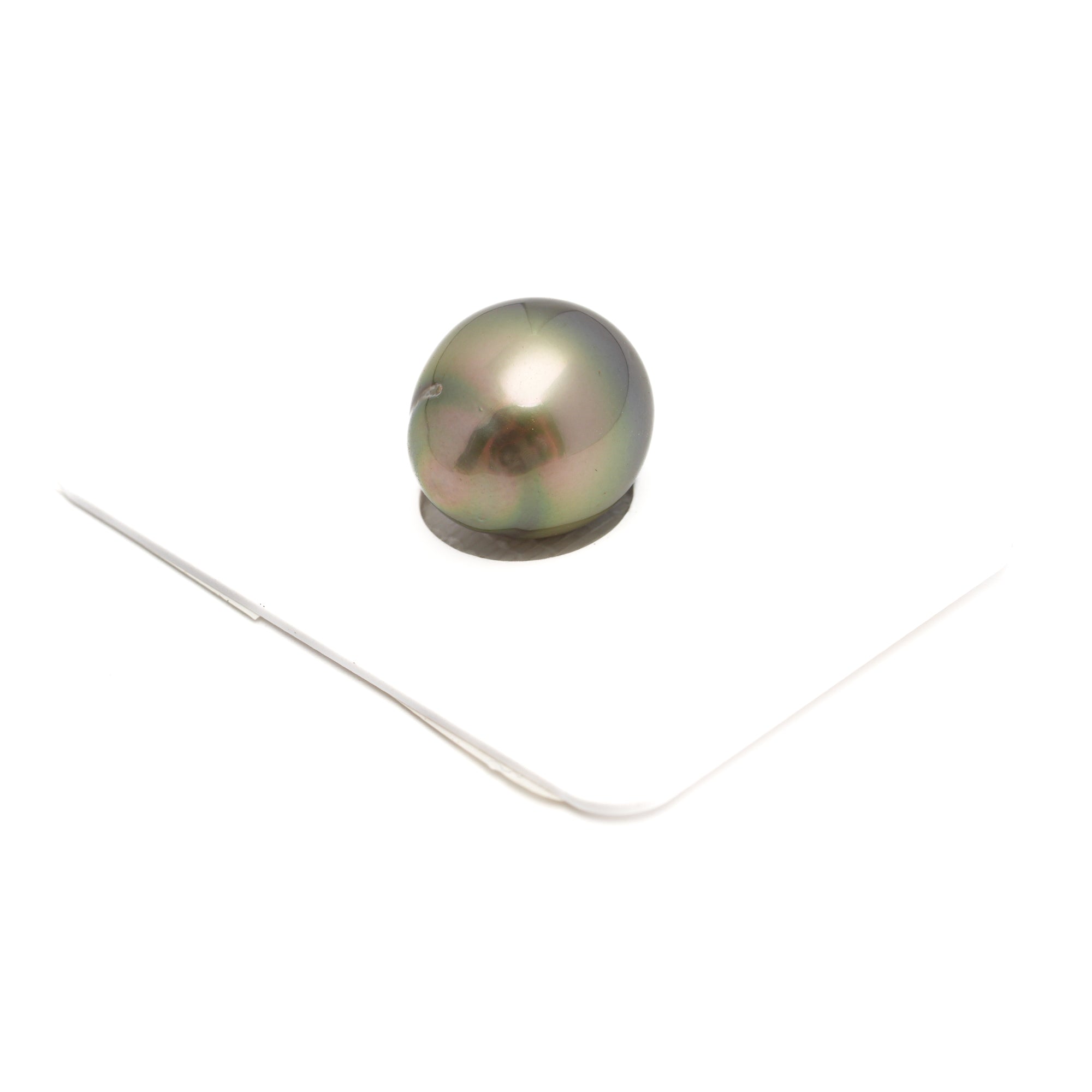 1pcs Yellow 13.6mm - SB AAA Quality Tahitian Pearl Single LP2350 CMP10