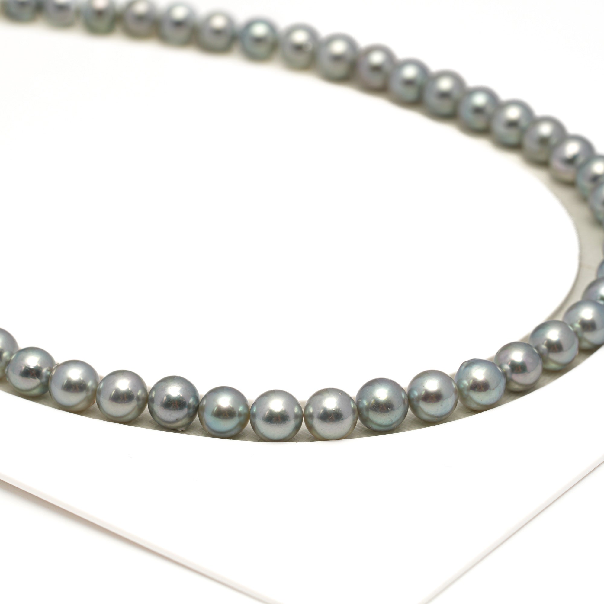 52pcs Akoya Pearl "High Luster" Silver Mix 7.2-7.7mm - SR/NR AAA/AA Quality Necklace AKNL1754 CMA1