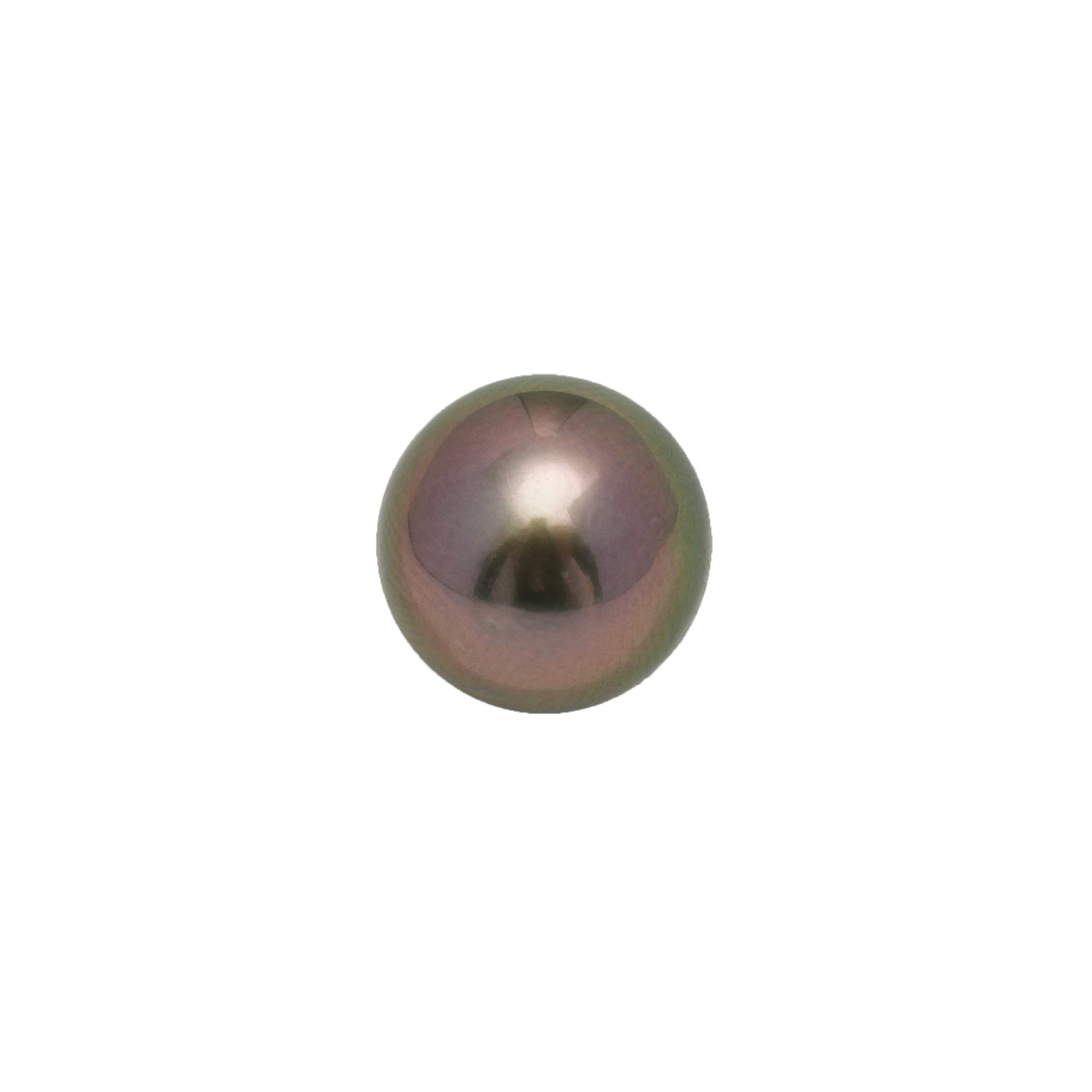 1pcs "High Luster" Peacock 11.7mm - SR AA/AAA Quality Tahitian Pearl Single LP2229 OR12