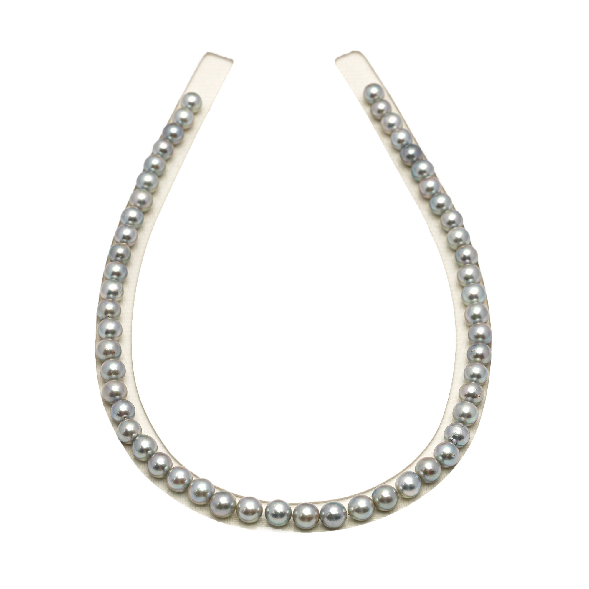 53pcs Akoya Pearl "High Luster" Silver Mix 7-7.9mm - SB/NR AA/A Quality Necklace AKNL1755 CMA1