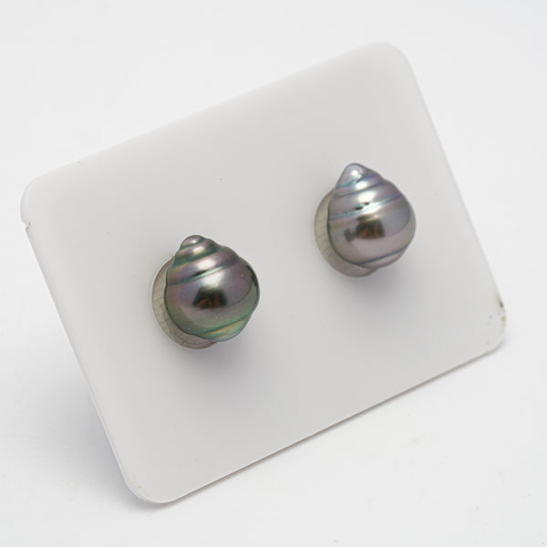 2pcs Multicolor 9-9.3mm - CL AAA/AA Quality Tahitian Pearl Pair ER1397 OR7