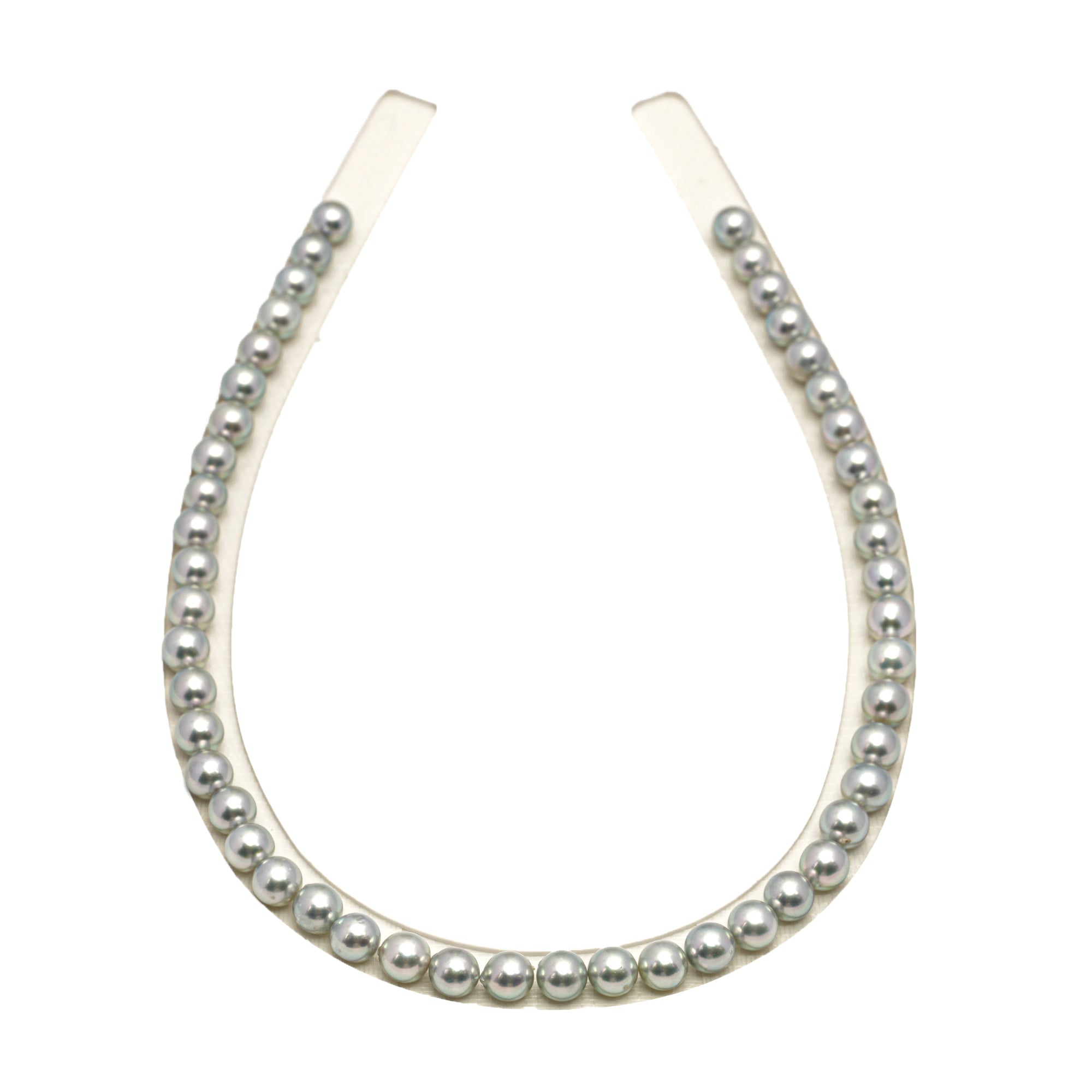 48pcs Akoya Pearl "High Luster" Silver Green 7.3-7.9mm - SR/NR AA Quality Necklace AKNL1756 CMA1