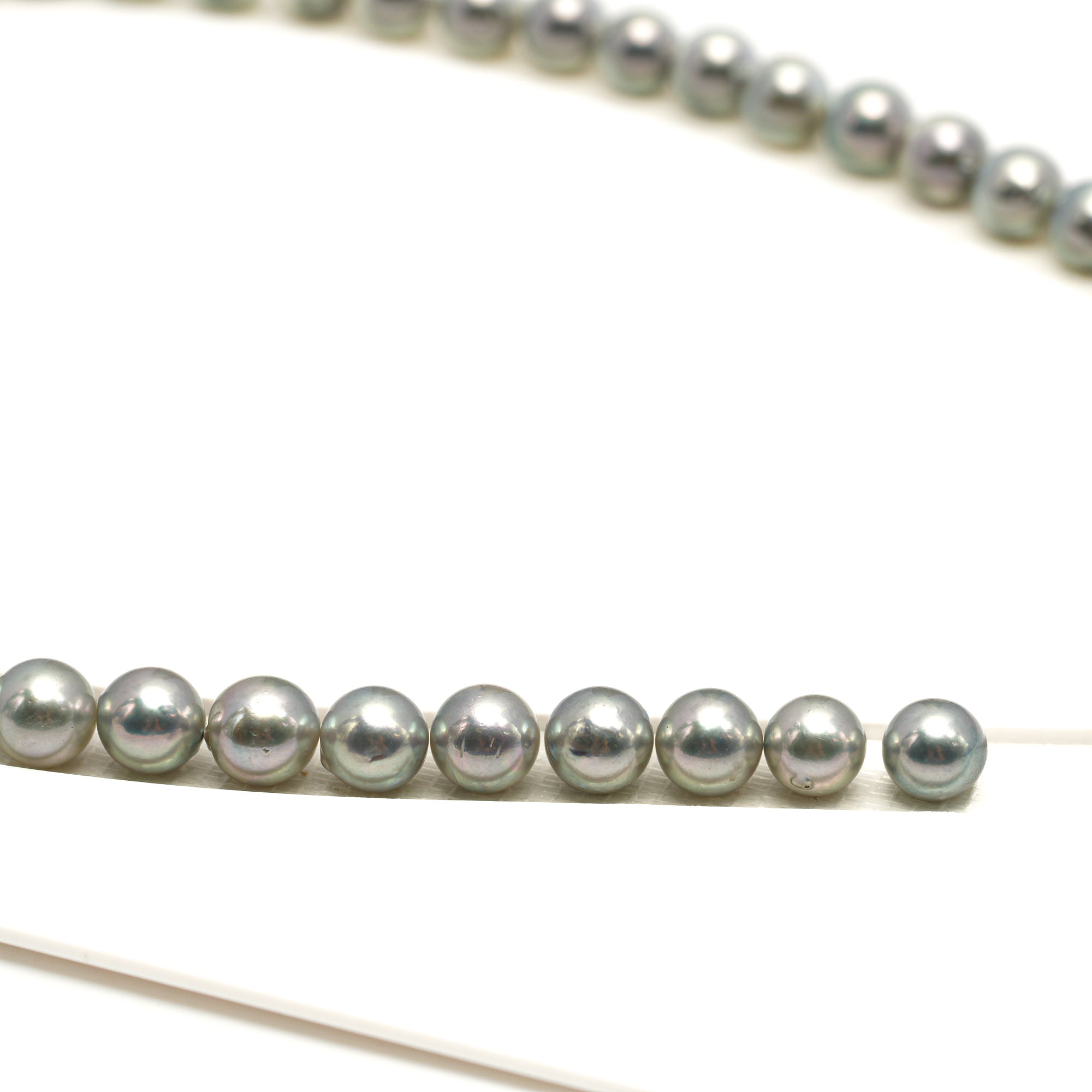 48pcs Akoya Pearl "High Luster" Silver Green 7.3-7.9mm - SR/NR AA Quality Necklace AKNL1756 CMA1
