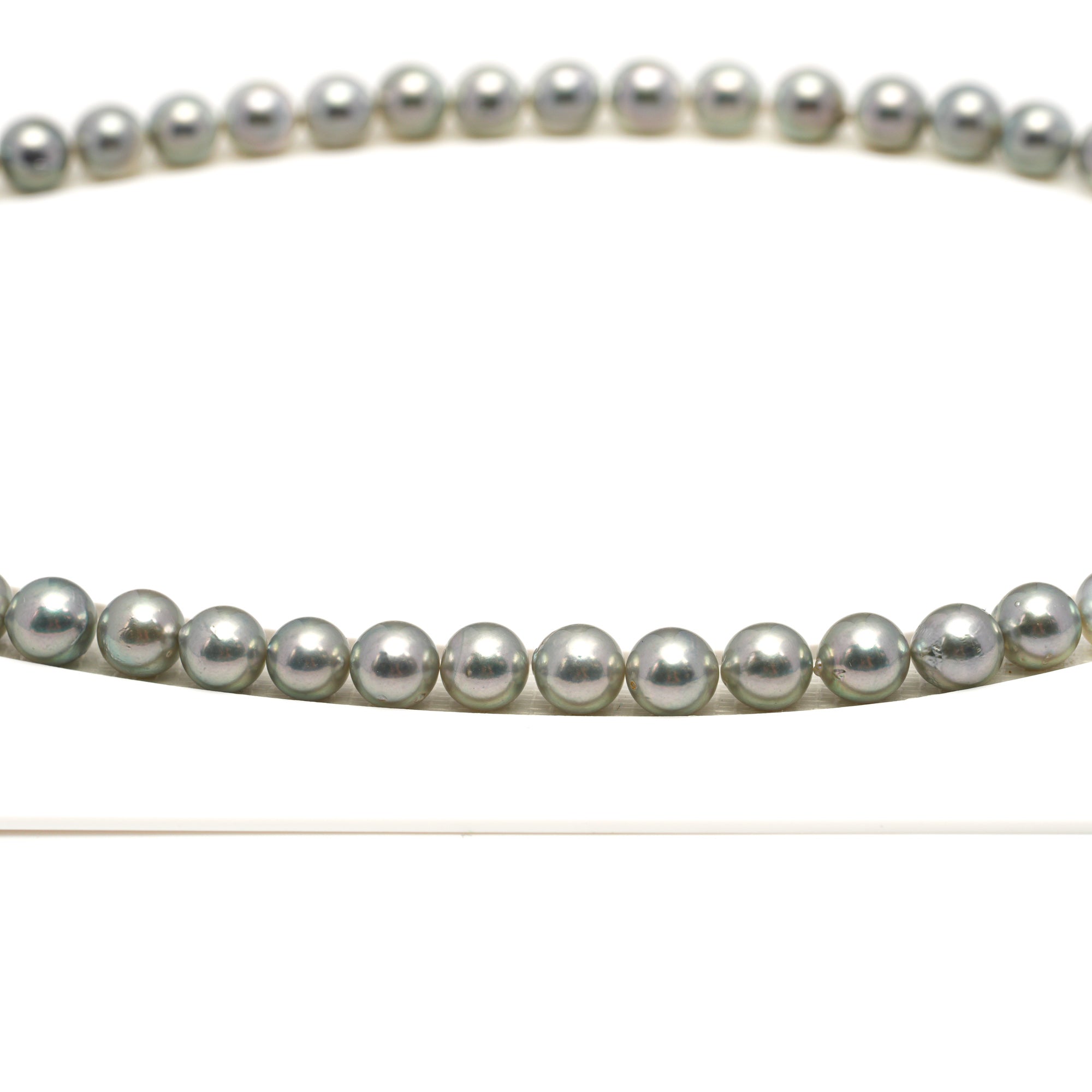 48pcs Akoya Pearl "High Luster" Silver Green 7.3-7.9mm - SR/NR AA Quality Necklace AKNL1756 CMA1