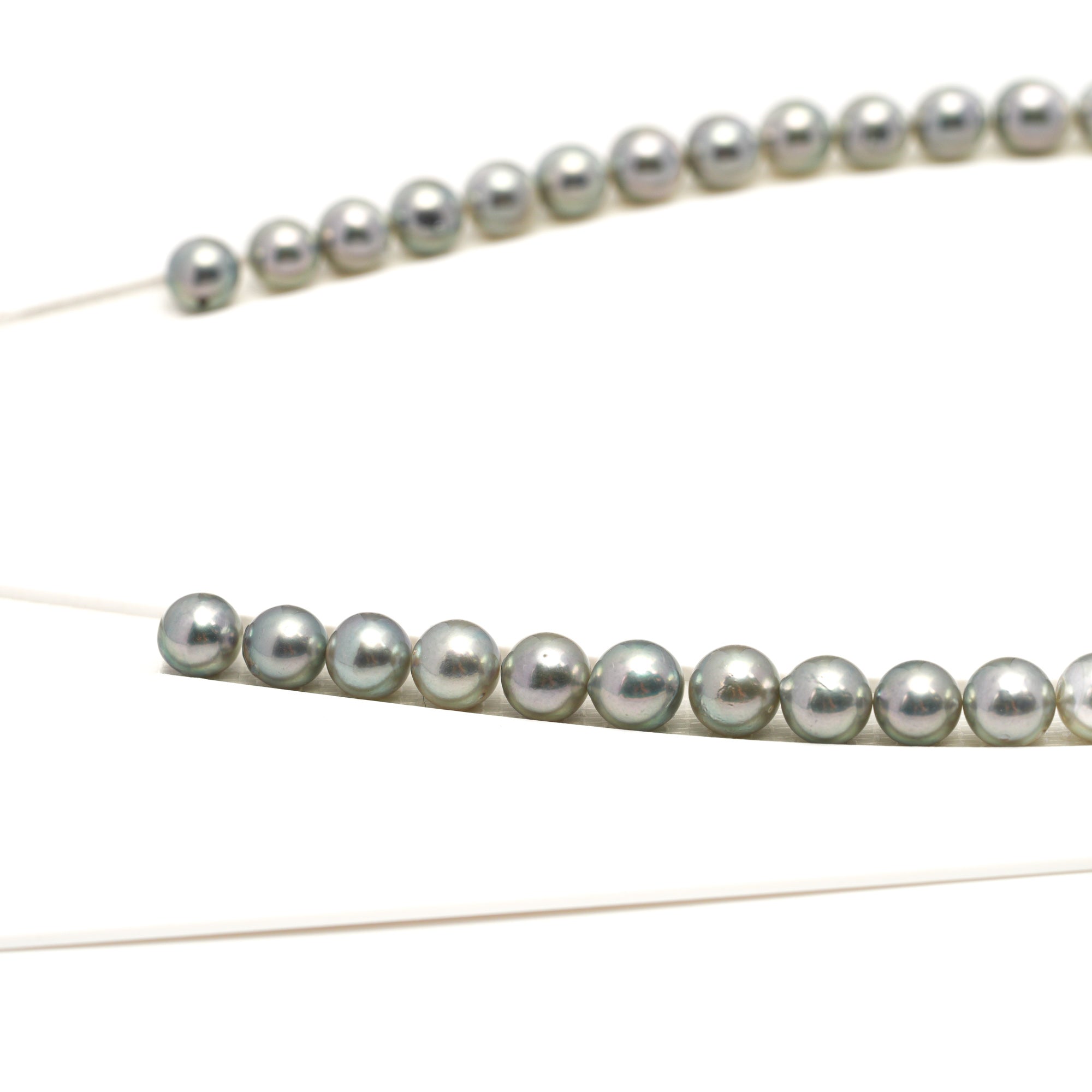 48pcs Akoya Pearl "High Luster" Silver Green 7.3-7.9mm - SR/NR AA Quality Necklace AKNL1756 CMA1
