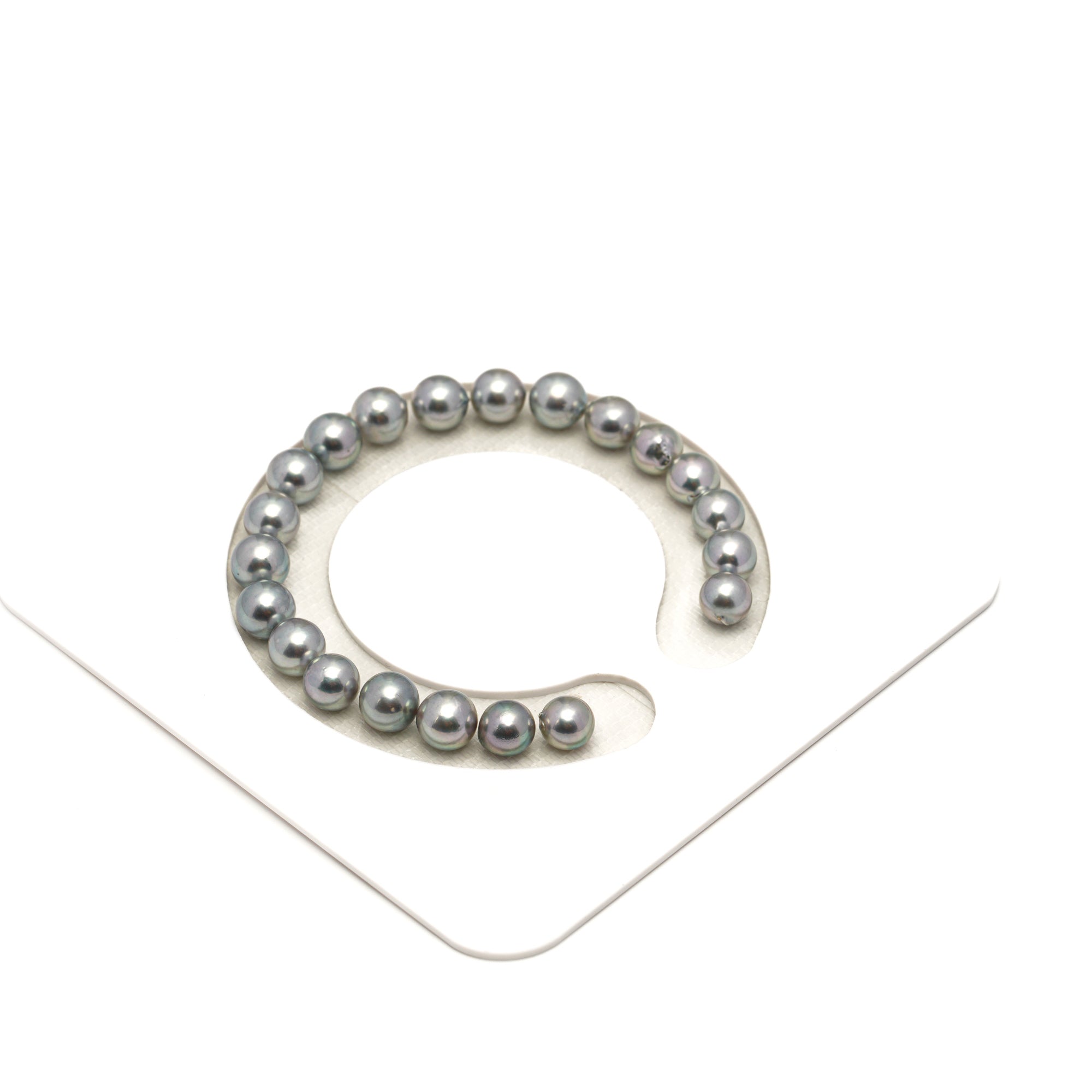 21pcs Akoya Pearl "High Luster" Silver 7-8mm - SB/NR AAA Quality Bracelet AKBR2397 CMA1