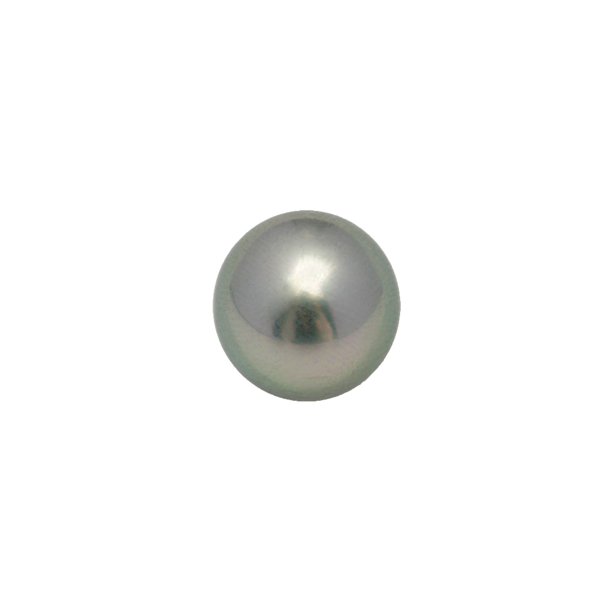 1pcs Light Green 11.7mm - SR AAA Quality Tahitian Pearl Single LP2235 OR11