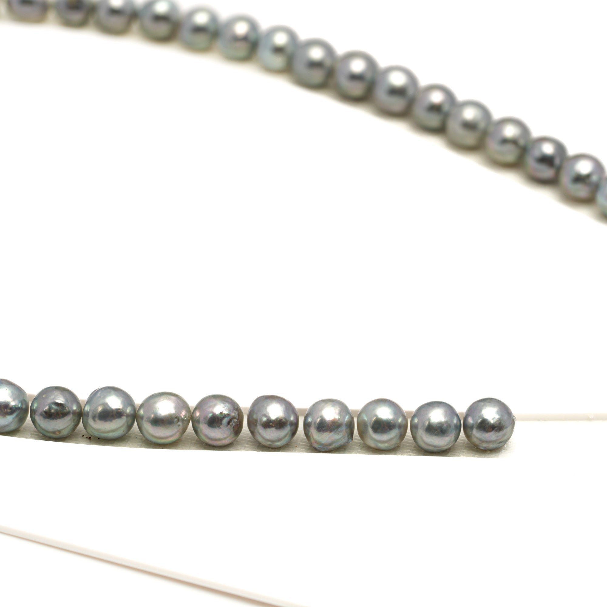 50pcs Akoya Pearl "High Luster" Silver Mix 7-7.9mm - BQ AAA/AA Quality Necklace AKNL1749 CMA1