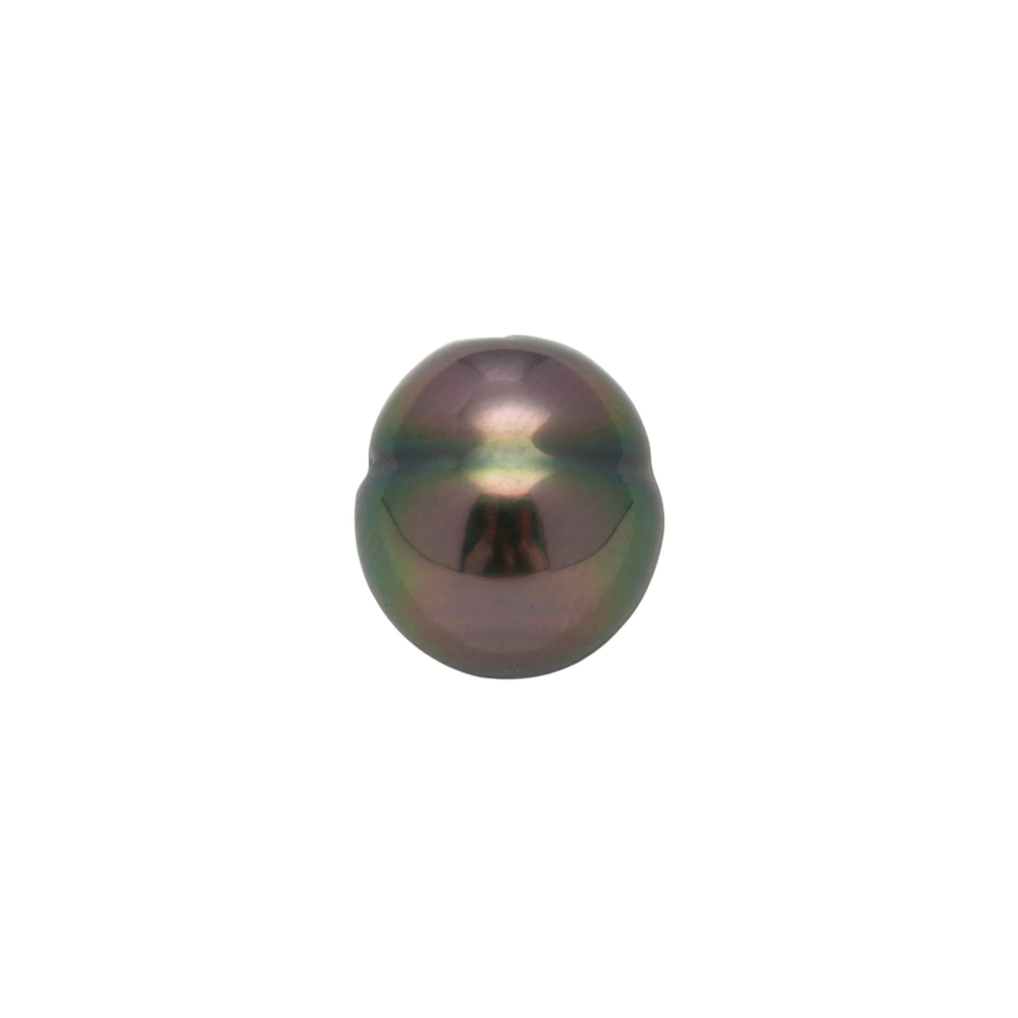 1pcs "Top Luster" Peacock 9.5mm - CL/SB AAA Quality Tahitian Pearl Single LP2131 HL3