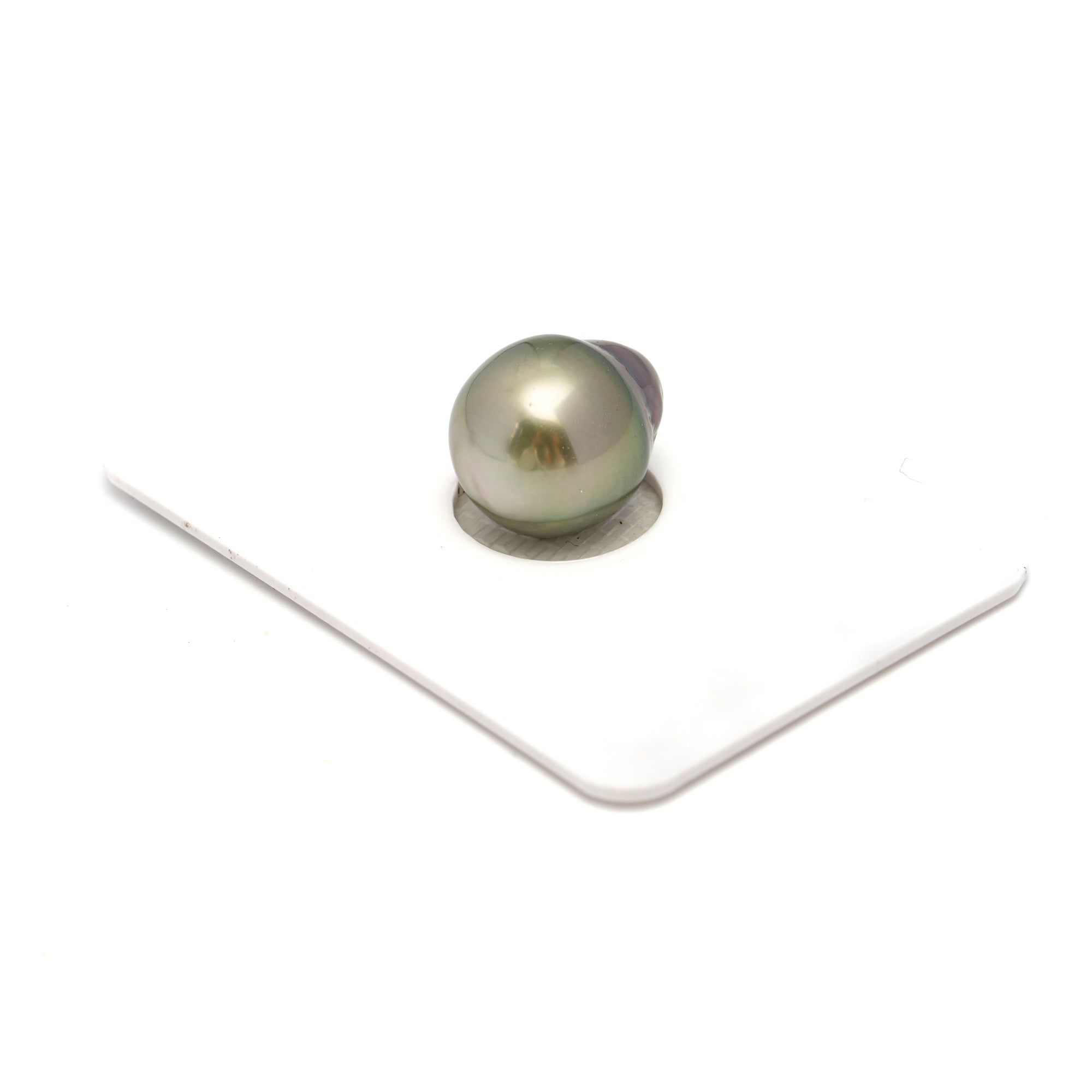 1pcs Light Yellow 11.6mm - SB AAA Quality Tahitian Pearl Single LP2293 HL4