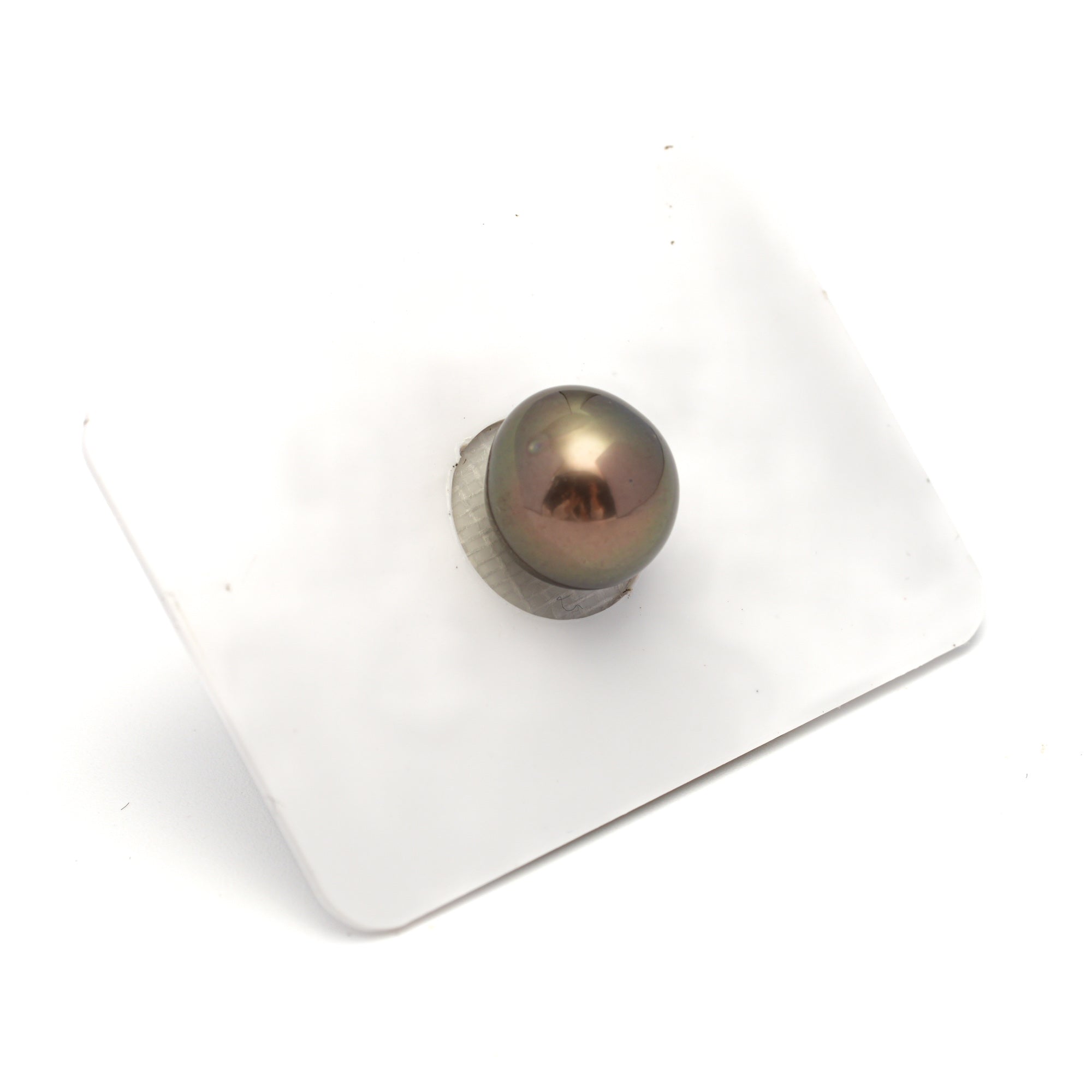 1pcs Olive Green 10.8mm - NR AAA/AA Quality Tahitian Pearl Single LP2310 HL4