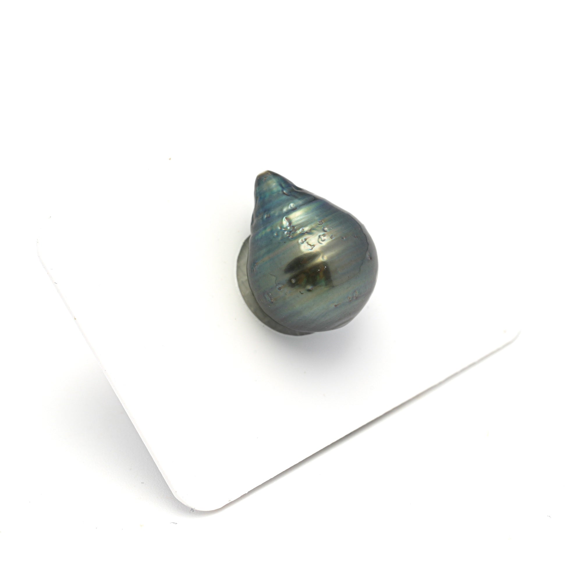 1pcs Green 13.4mm - CL/SB AA Quality Tahitian Pearl Single LP2321 HL4