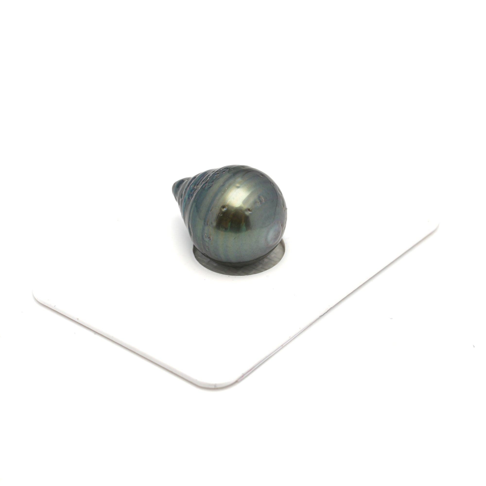 1pcs Green 13.4mm - CL/SB AA Quality Tahitian Pearl Single LP2321 HL4