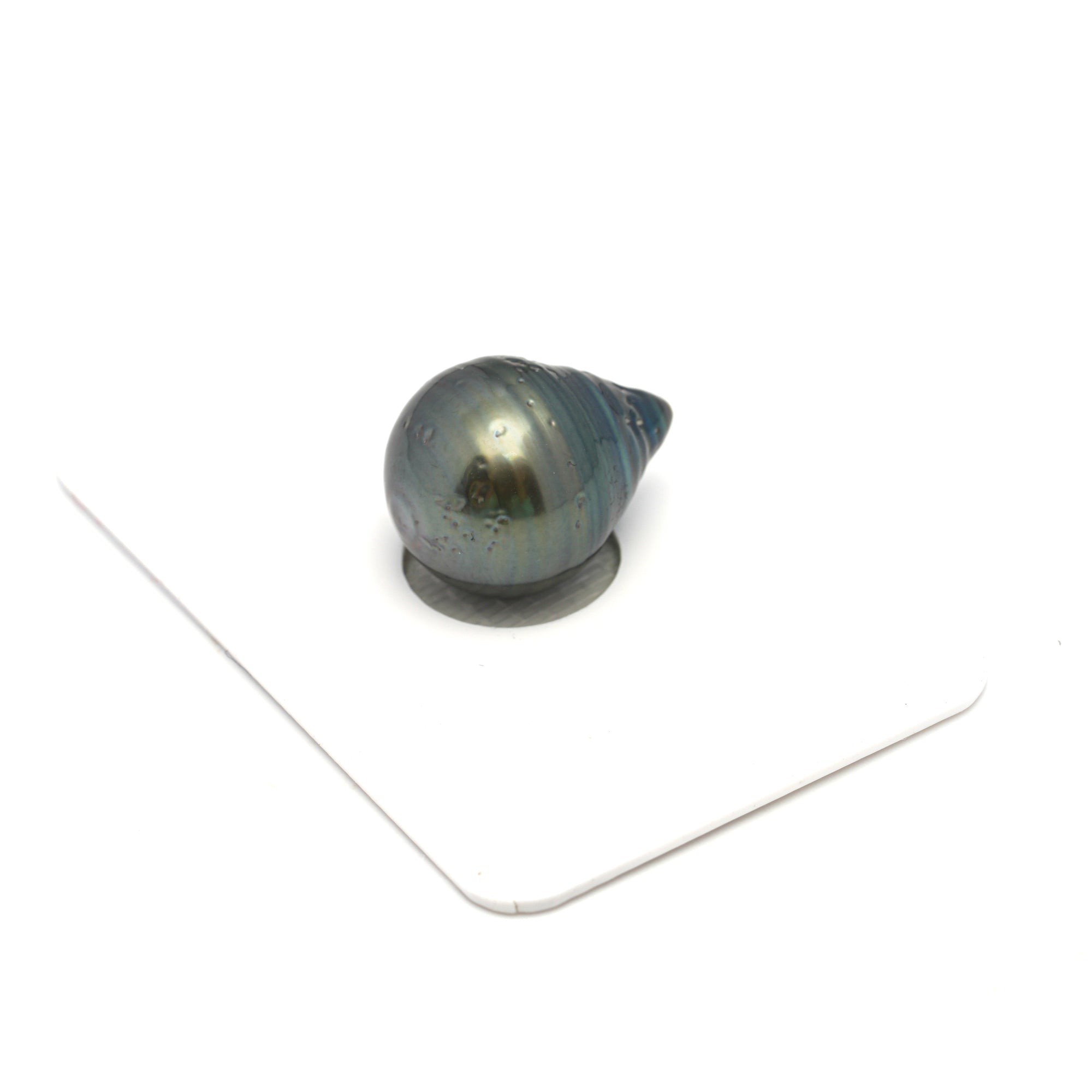 1pcs Green 13.4mm - CL/SB AA Quality Tahitian Pearl Single LP2321 HL4