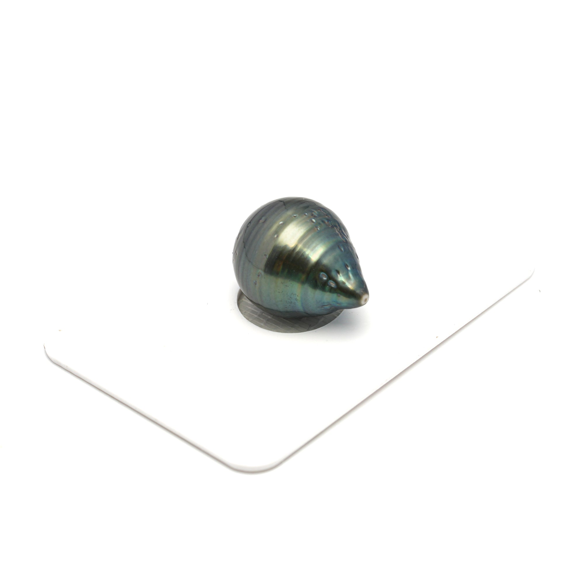 1pcs Green 13.4mm - CL/SB AA Quality Tahitian Pearl Single LP2321 HL4