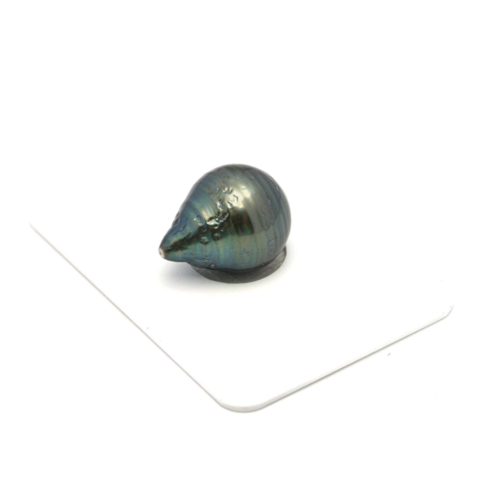 1pcs Green 13.4mm - CL/SB AA Quality Tahitian Pearl Single LP2321 HL4