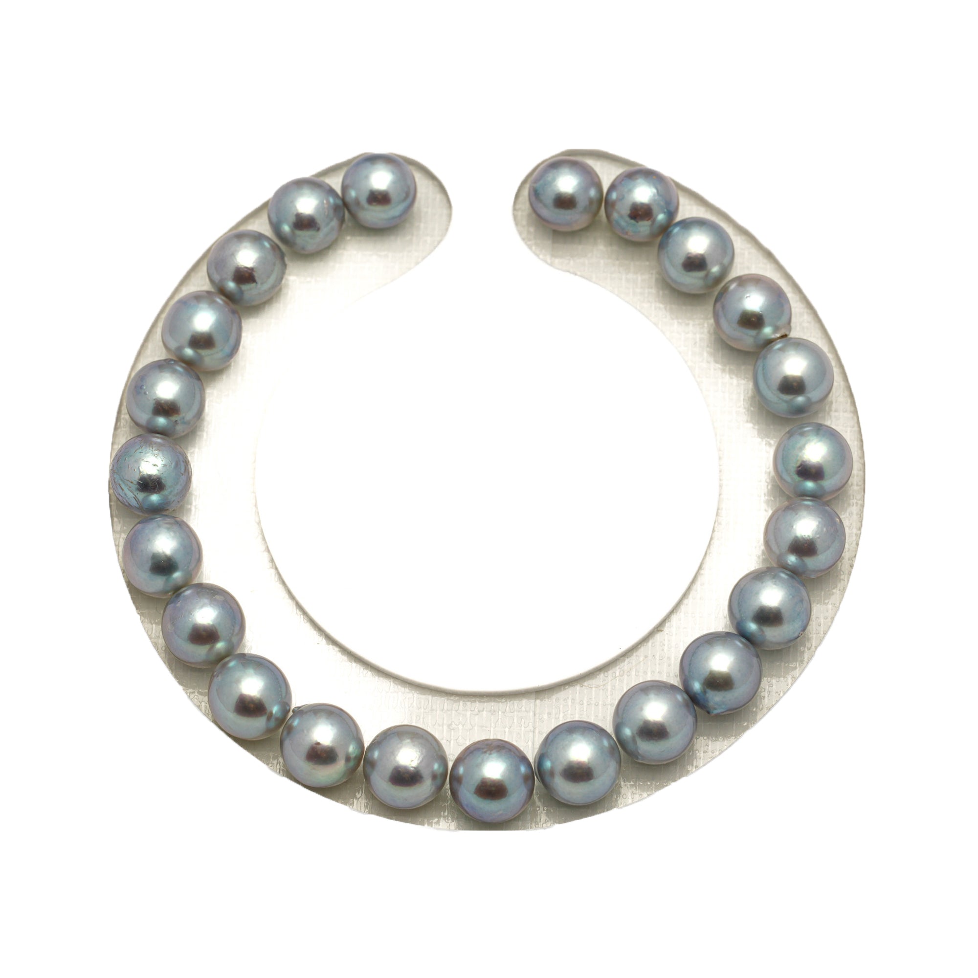 23pcs Akoya Pearl "High Luster" Silver Blue 7.2-7.9mm - SR/NR AA/AAA Quality Bracelet AKBR2407 CMA1