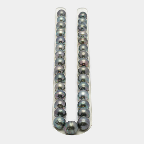 31pcs Multicolor 11-13mm - CL/SB AAA/AA Quality Tahitian Pearl Necklace NL1424 OR7