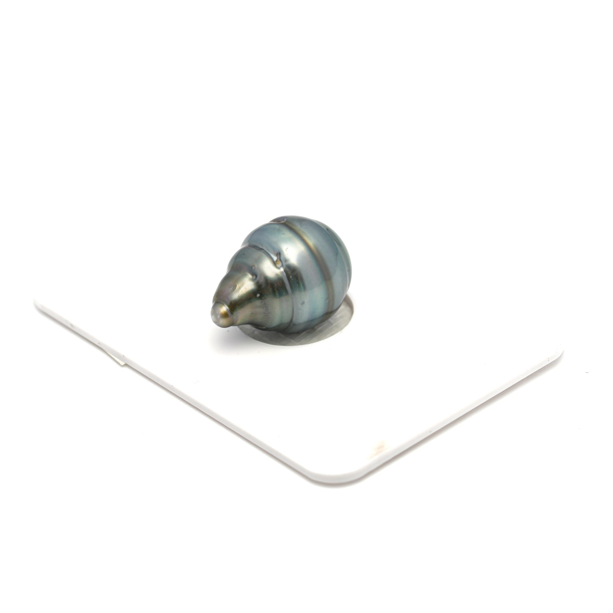 1pcs Light Blue 11.8mm - CL/SB AA Quality Tahitian Pearl Single LP2317 HL4