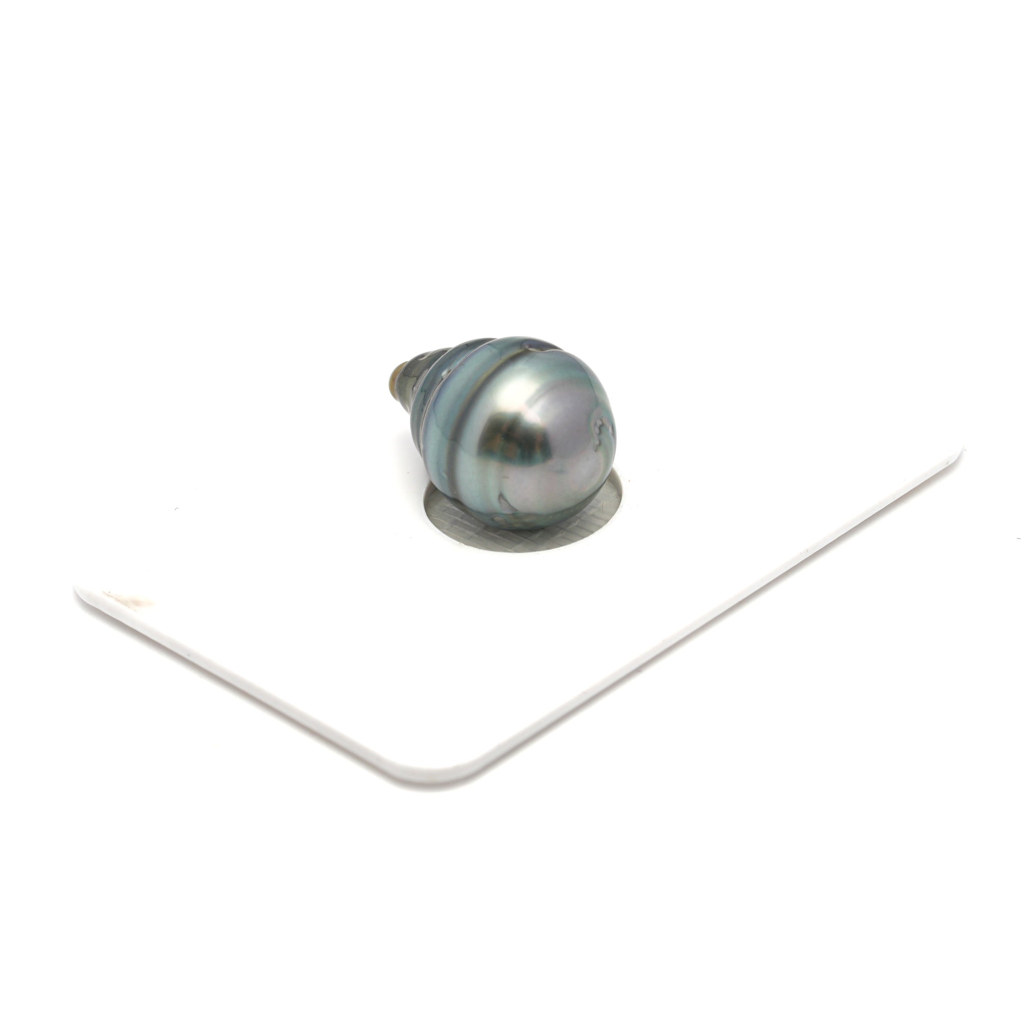 1pcs Light Blue 11.8mm - CL/SB AA Quality Tahitian Pearl Single LP2317 HL4
