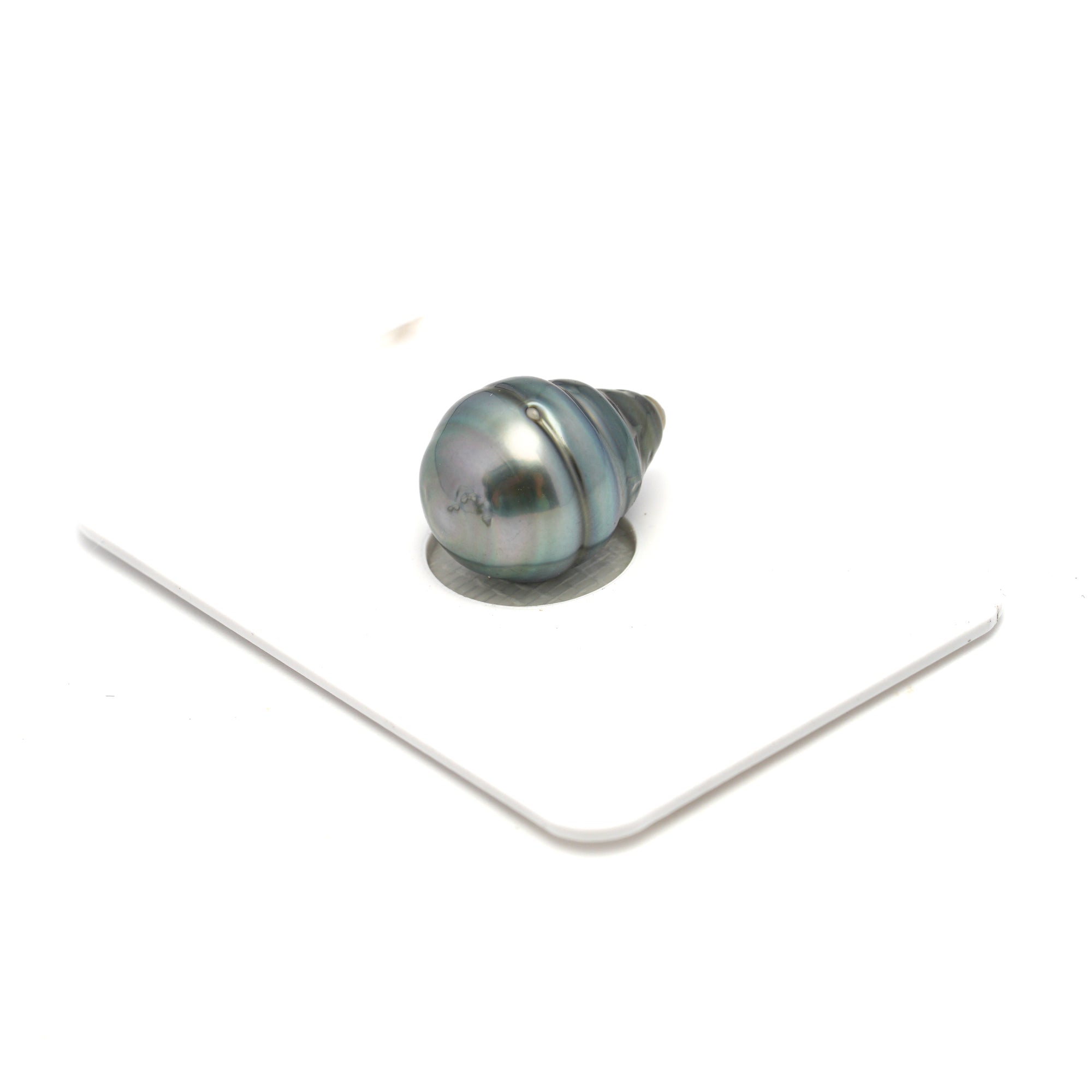 1pcs Light Blue 11.8mm - CL/SB AA Quality Tahitian Pearl Single LP2317 HL4