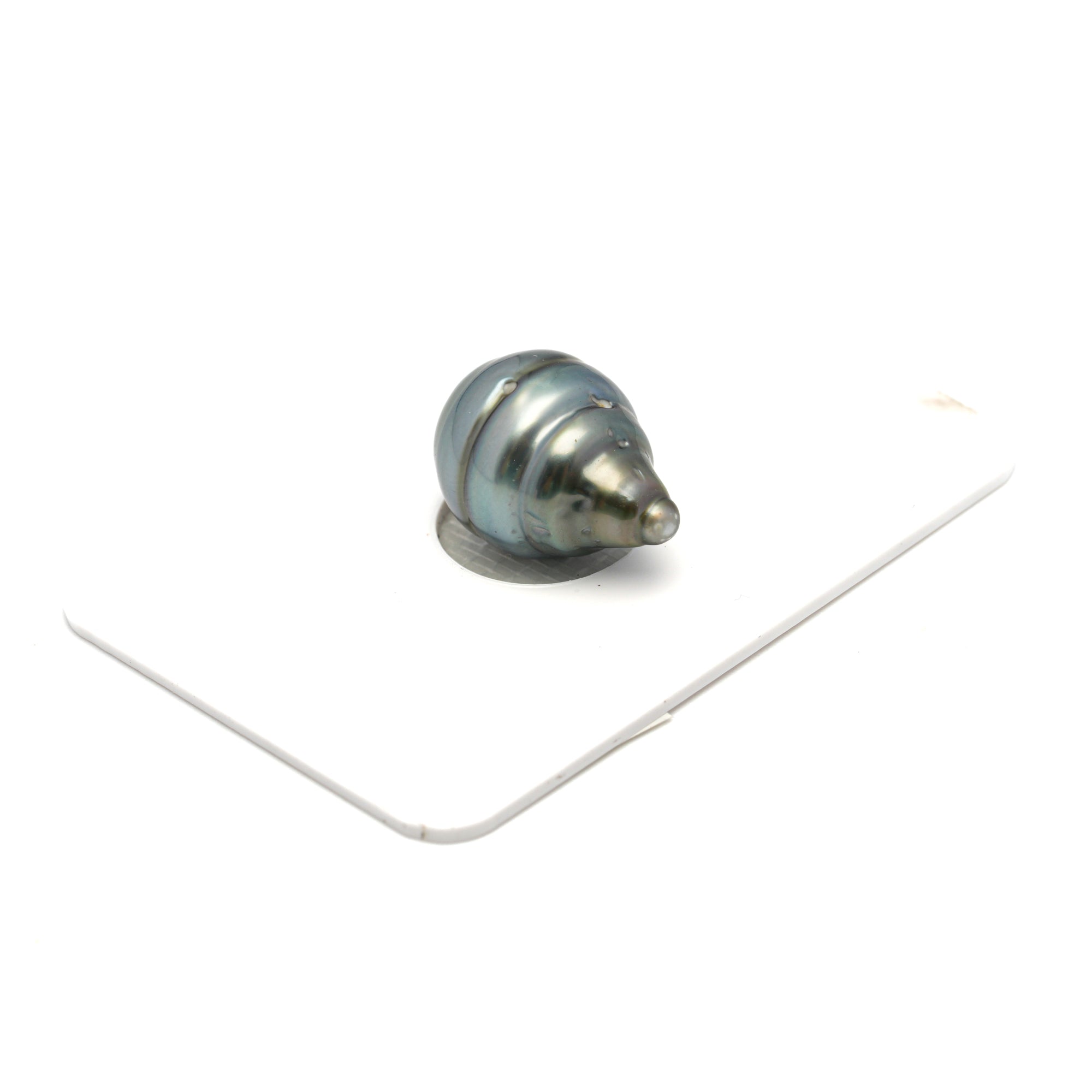 1pcs Light Blue 11.8mm - CL/SB AA Quality Tahitian Pearl Single LP2317 HL4