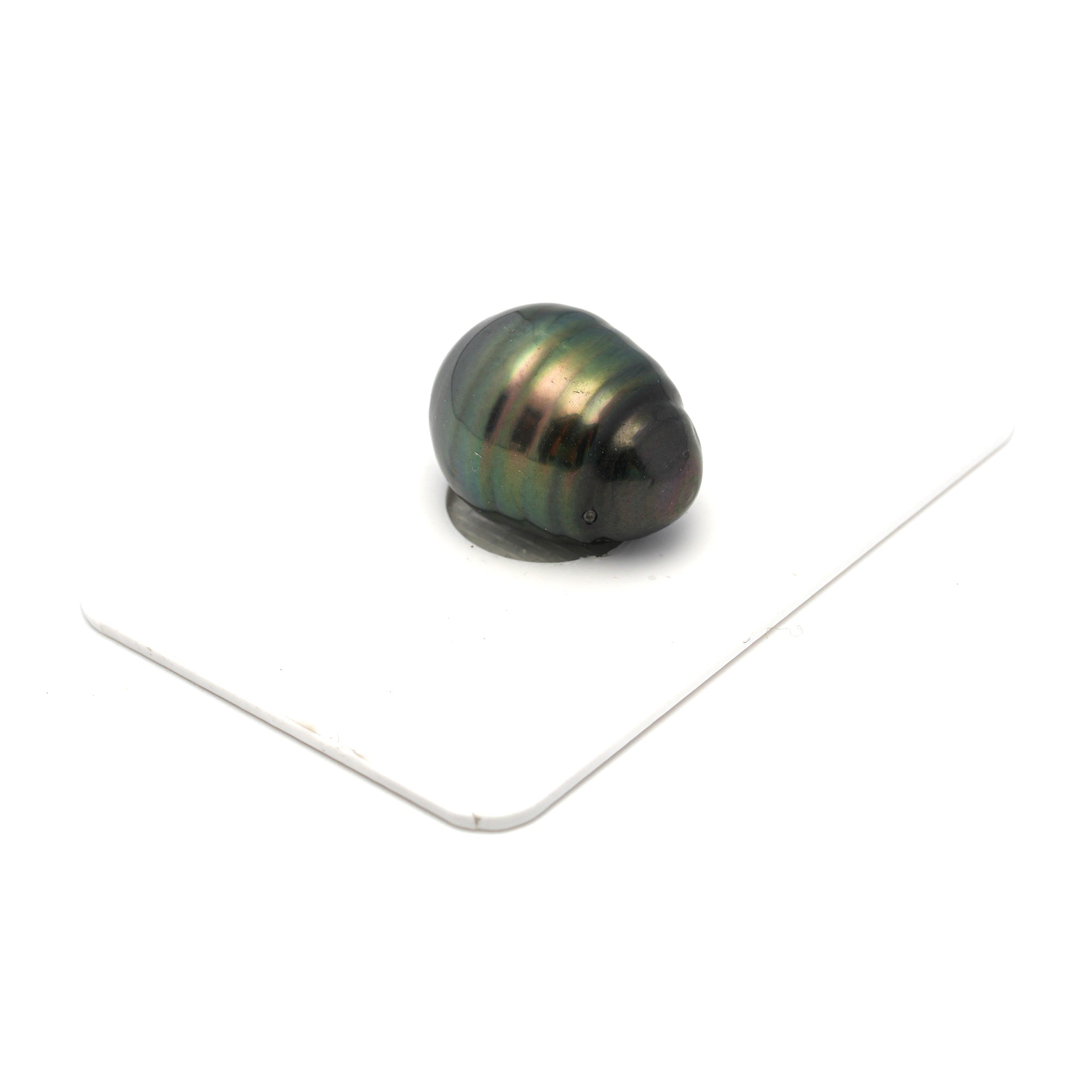 1pcs Green 13.2mm - CL/SB AA Quality Tahitian Pearl Single LP2318 HL4