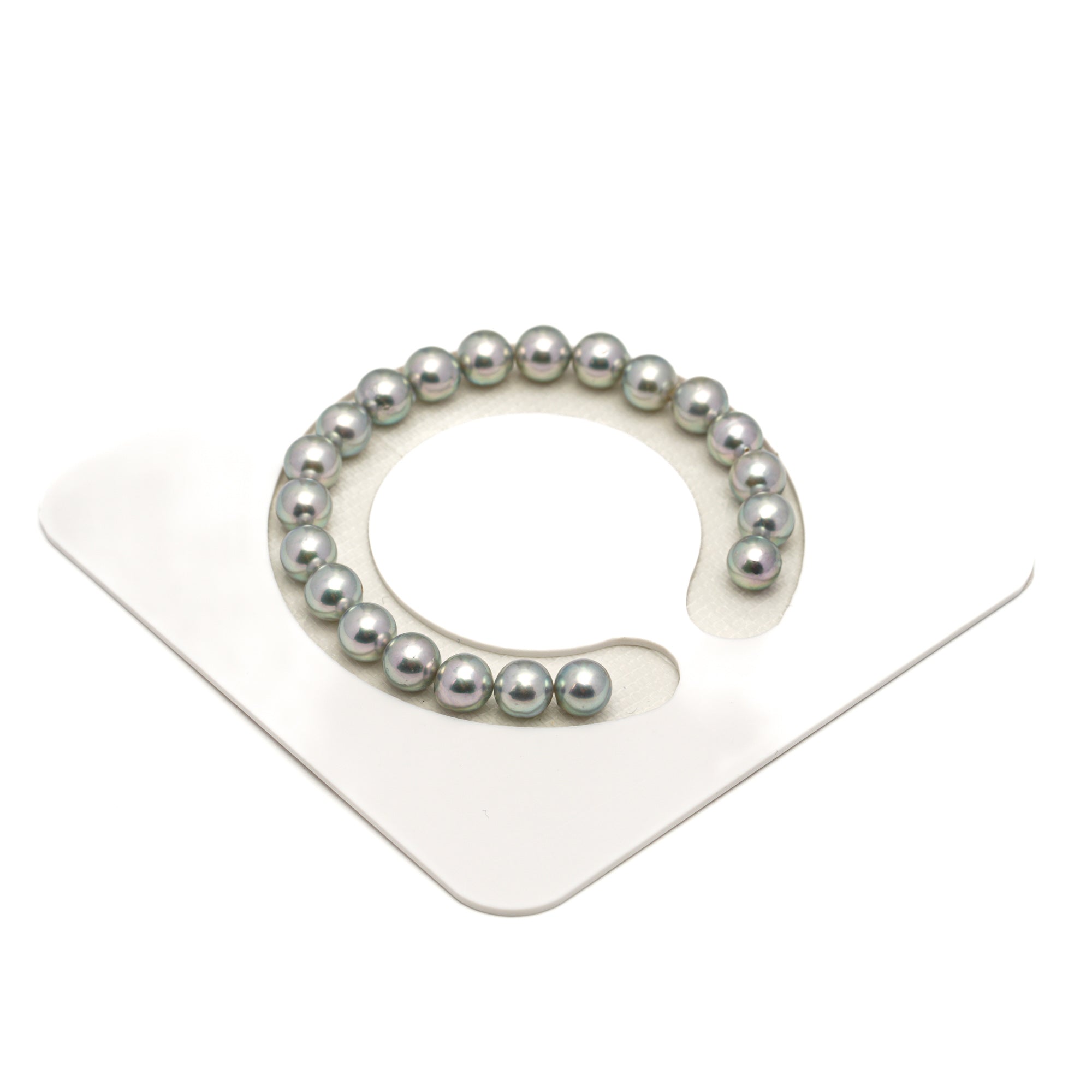 21pcs Akoya Pearl "High Luster" Silver Green 7.3-7.9mm - SR/NR AA/AAA Quality Bracelet AKBR2416 CMA1