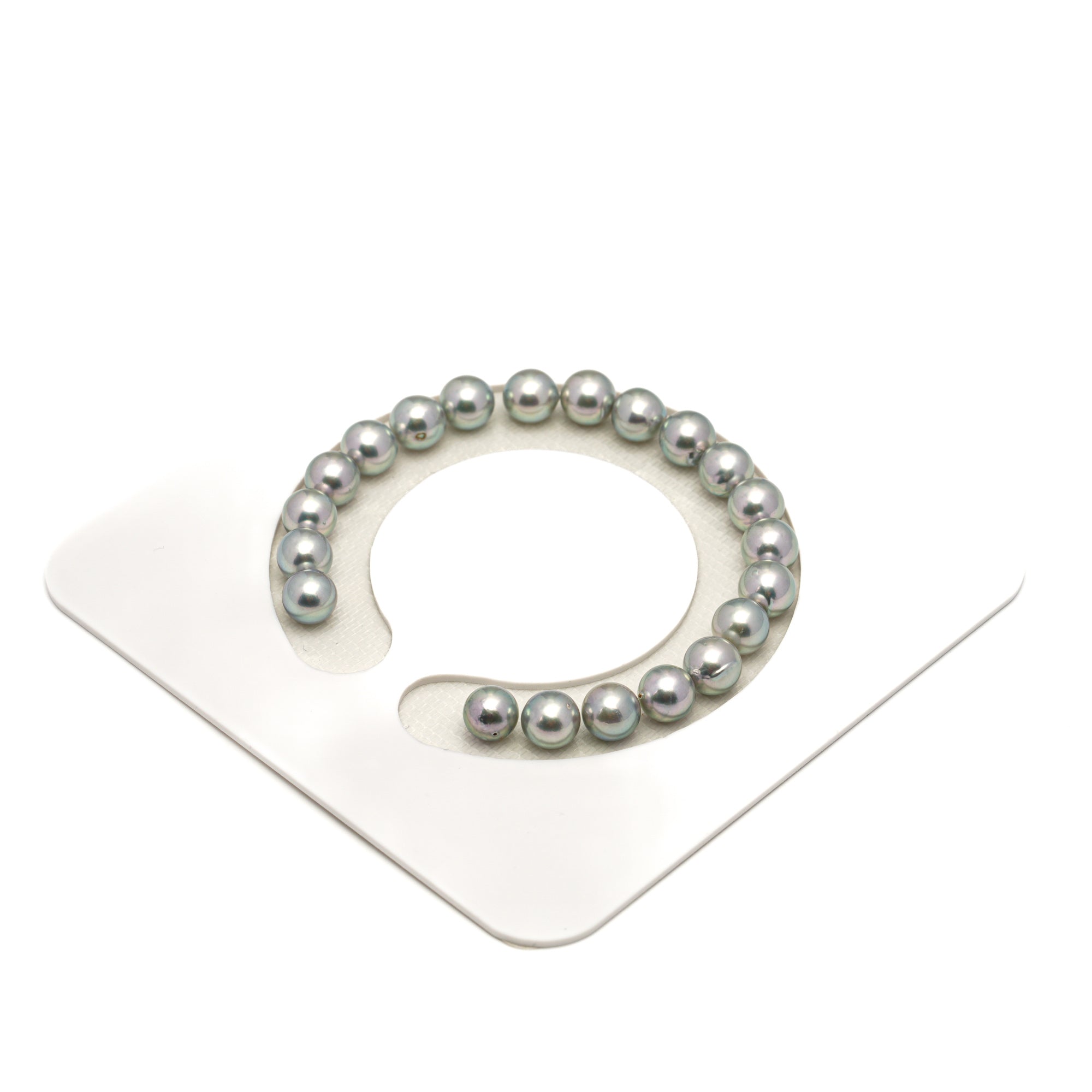 21pcs Akoya Pearl "High Luster" Silver Green 7.3-7.9mm - SR/NR AA/AAA Quality Bracelet AKBR2416 CMA1