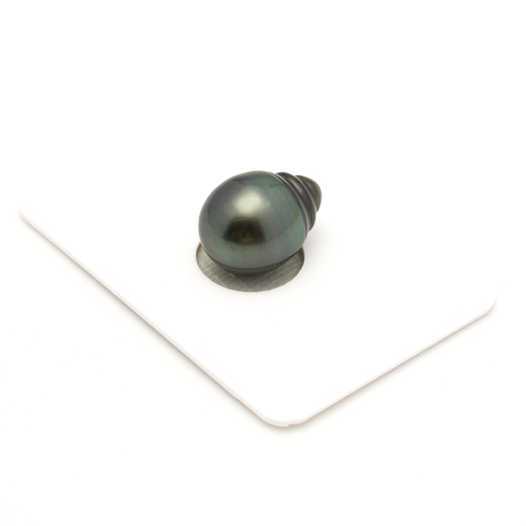 1pcs "Mid Luster" Green 11.5mm - SB/CL AAA Quality Tahitian Pearl Single LP2568 LP4
