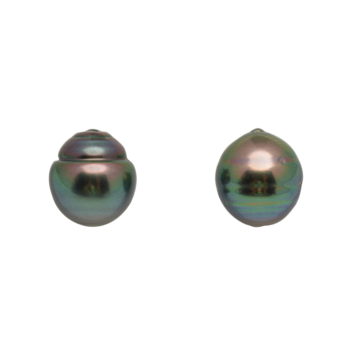 2pcs Peacock 11-11.1mm - SB/CL AAA Quality Tahitian Pearl Pair ER1996 LP5 LP5