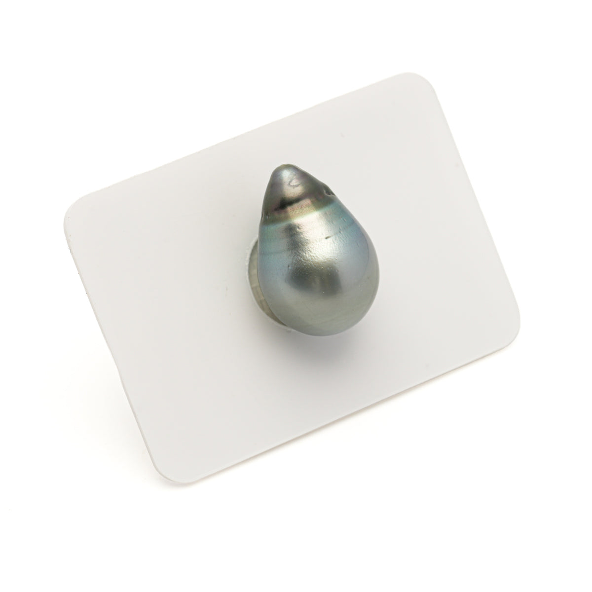 1pcs Silver 13.4mm - SB AA Quality Tahitian Pearl Single LP2603 LP5 LP5