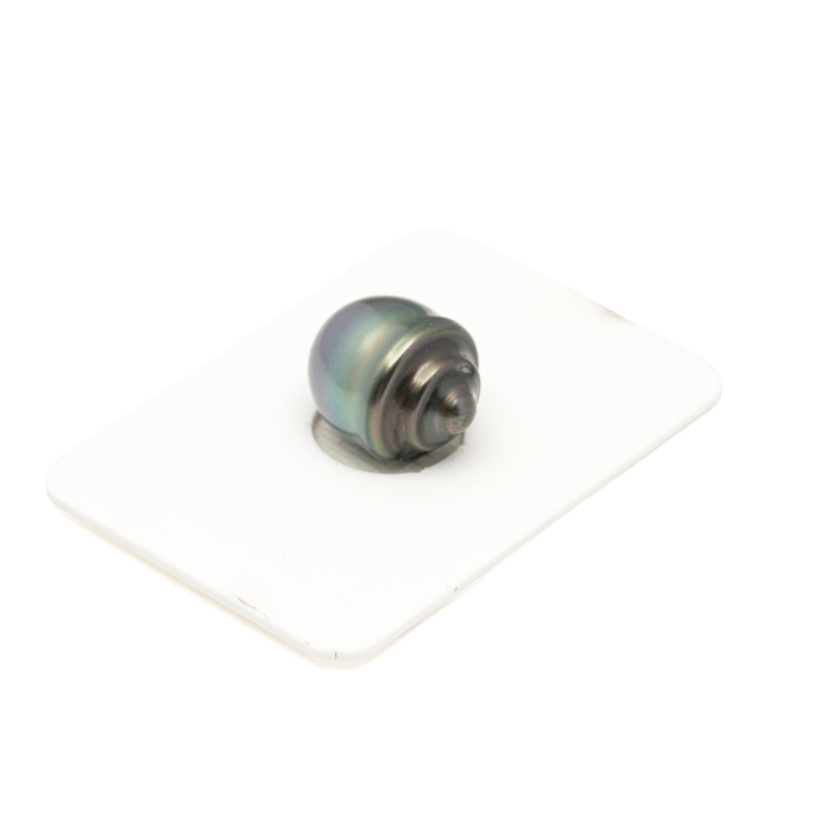 1pcs Green 12.5mm - SB/CL AAA/AA Quality Tahitian Pearl Single LP2611 LP5